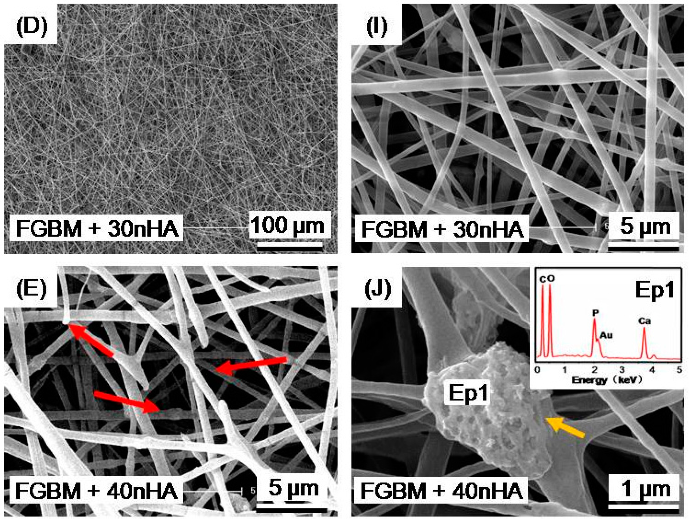 Materials 10 00257 g003b
