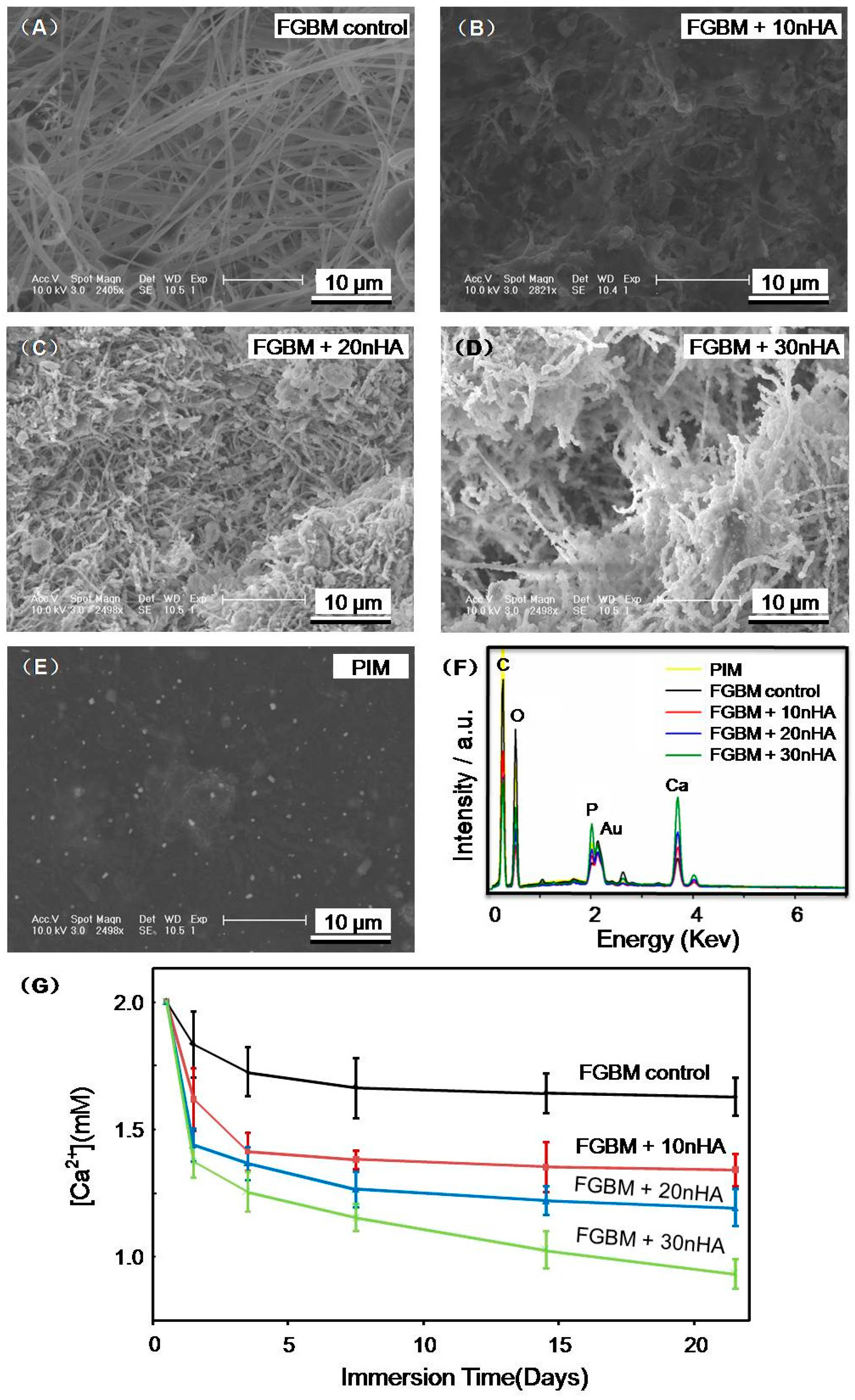 Materials 10 00257 g006