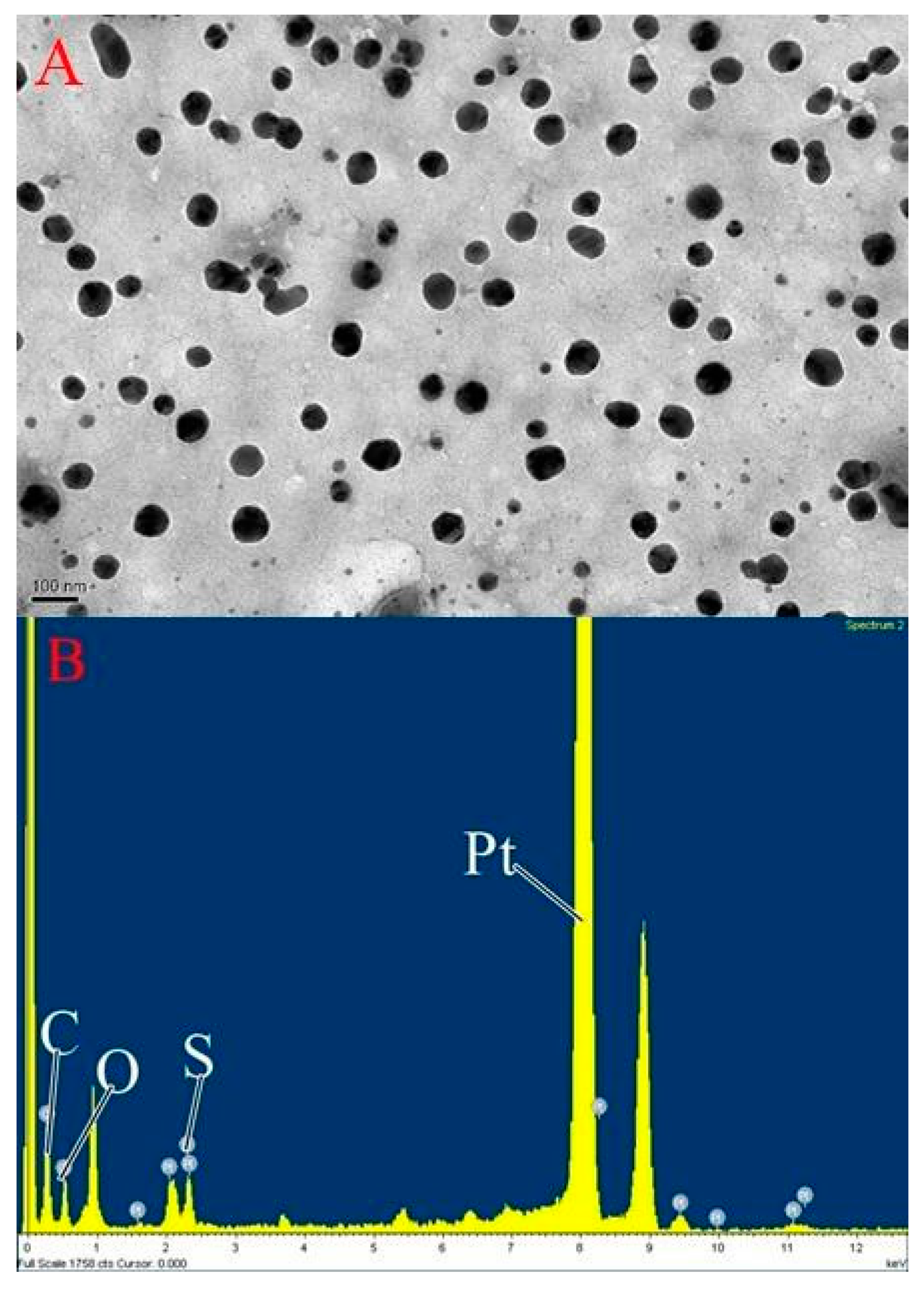 Materials 10 00291 g001 550