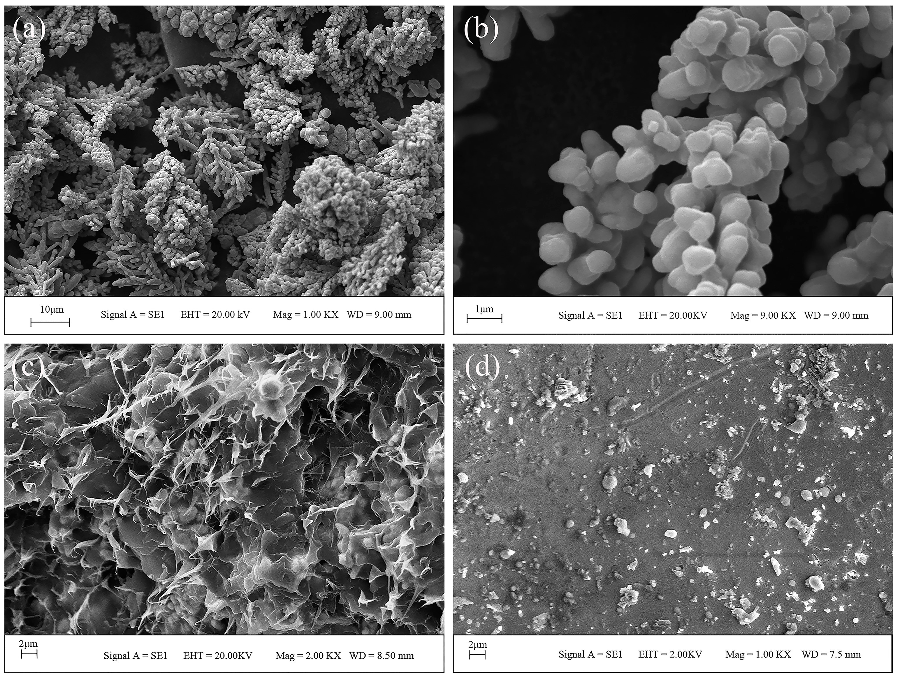 Materials 10 00305 g002 550