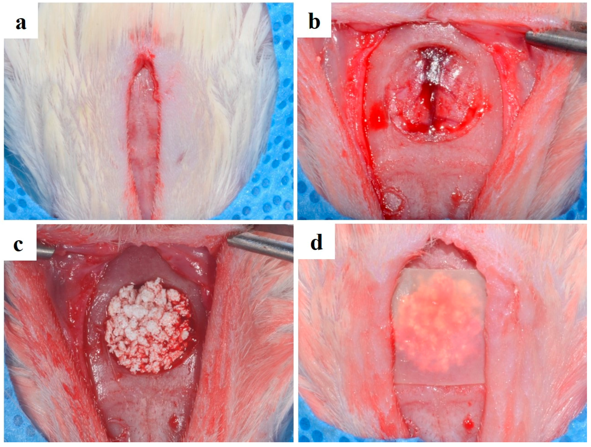 Materials 10 00320 g008