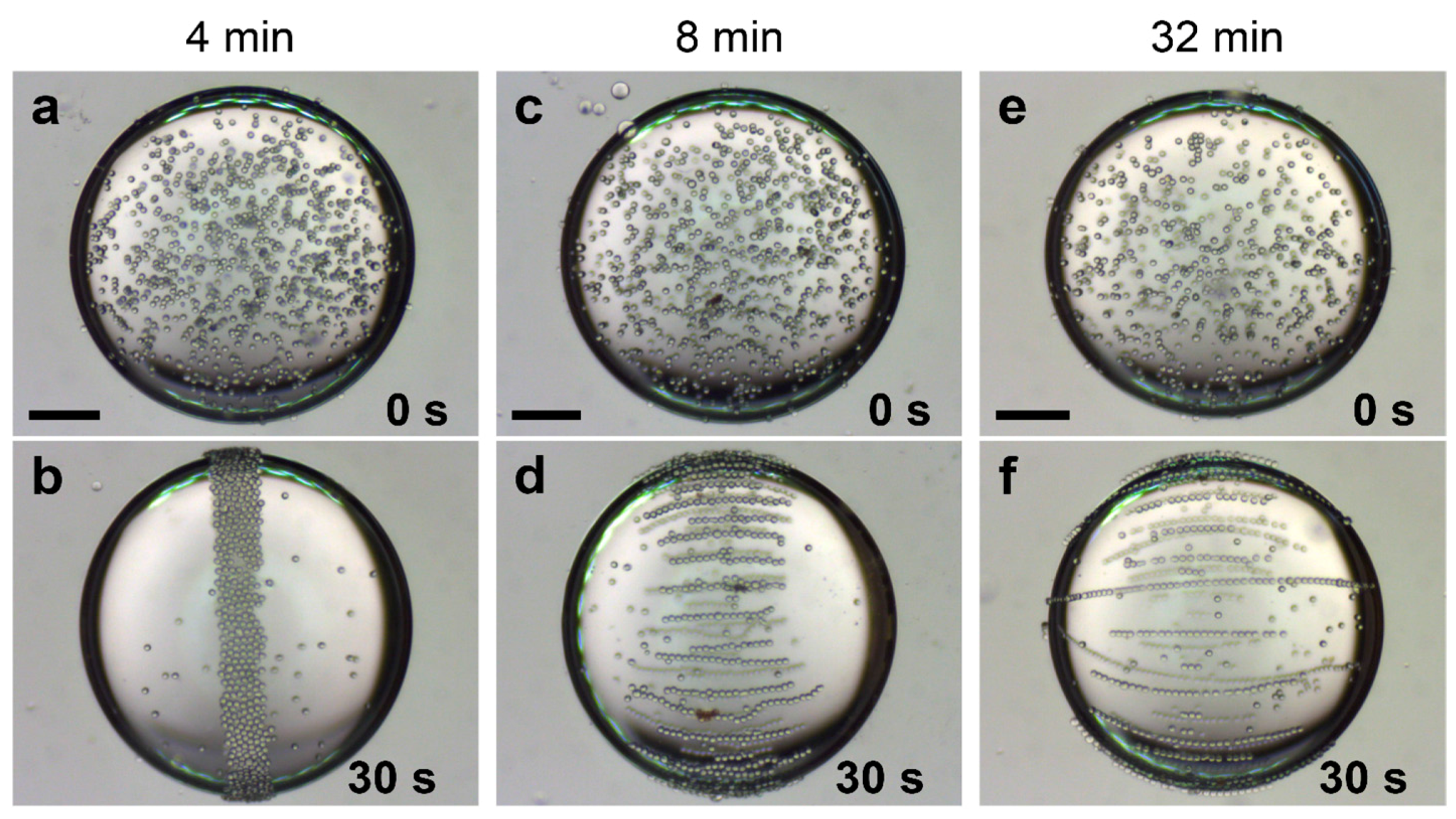 Materials 10 00329 g007 550