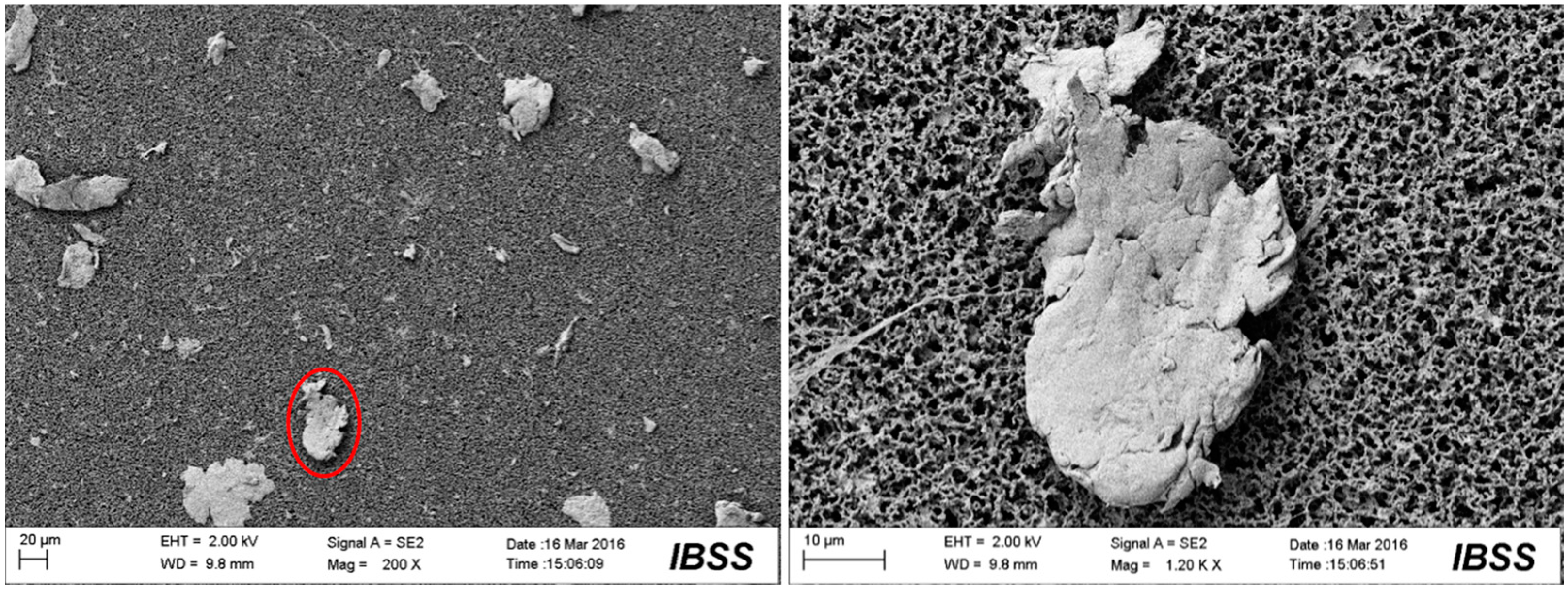 Materials 10 00330 g010