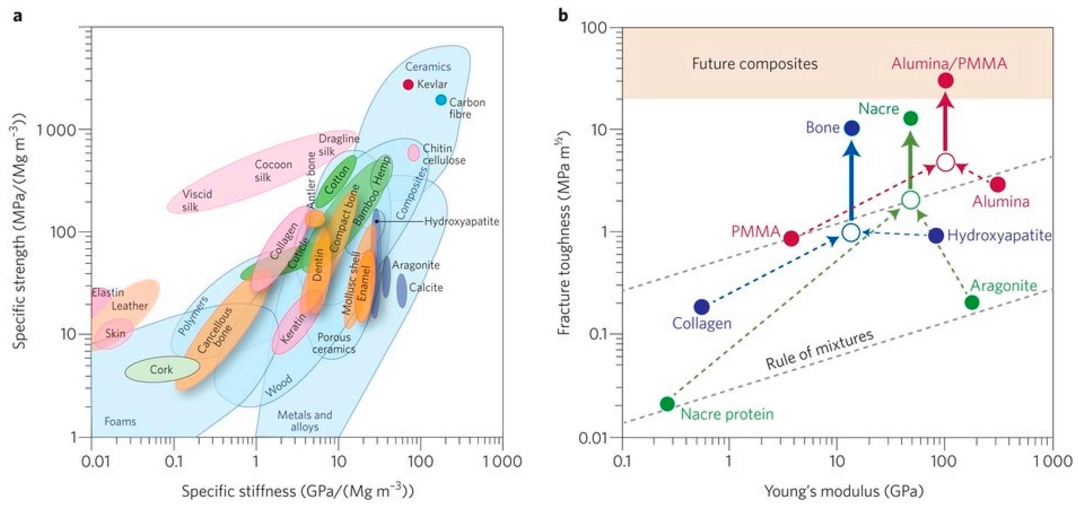 Materials 10 00334 g002 550