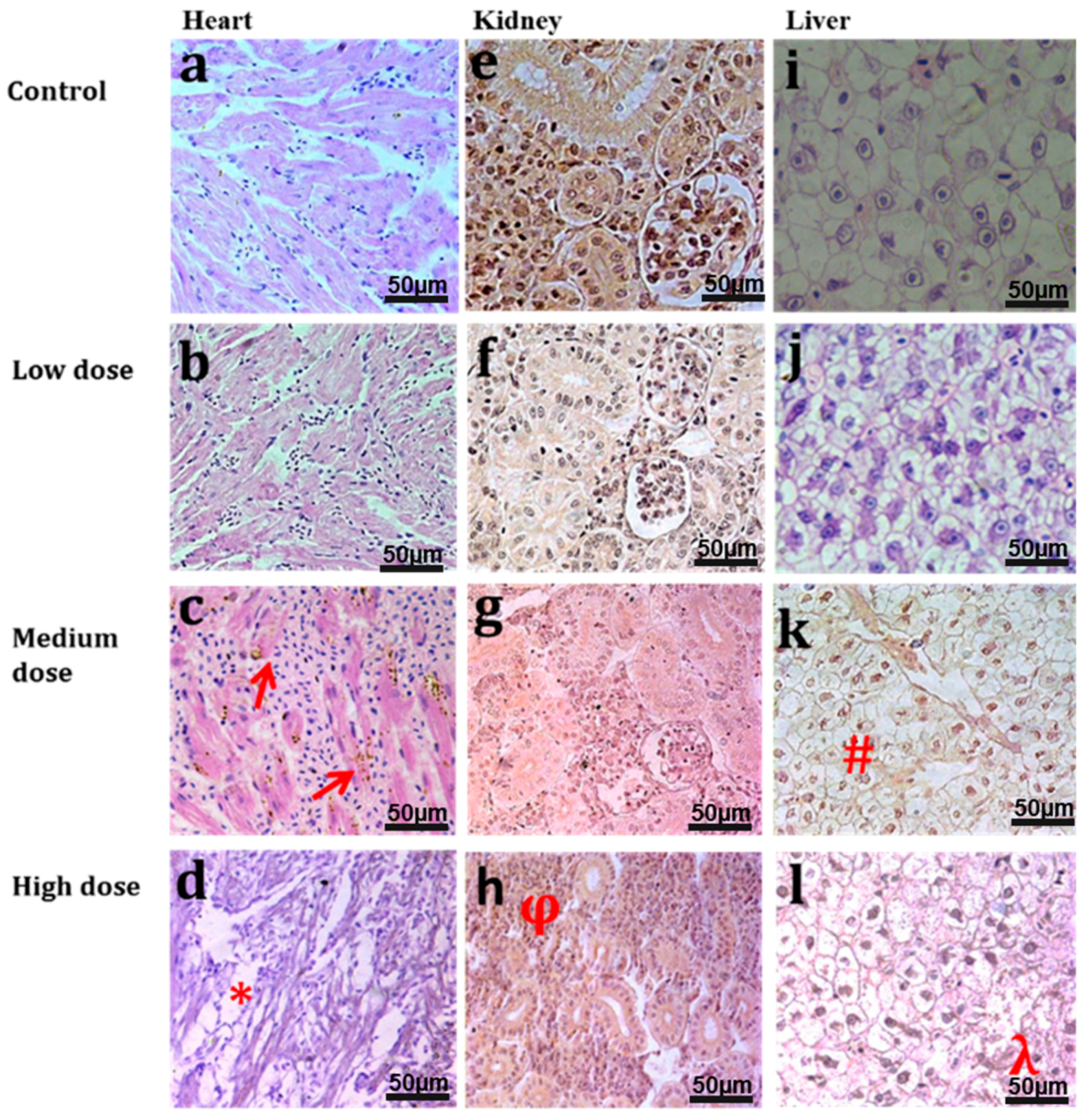 Materials 10 00336 g007