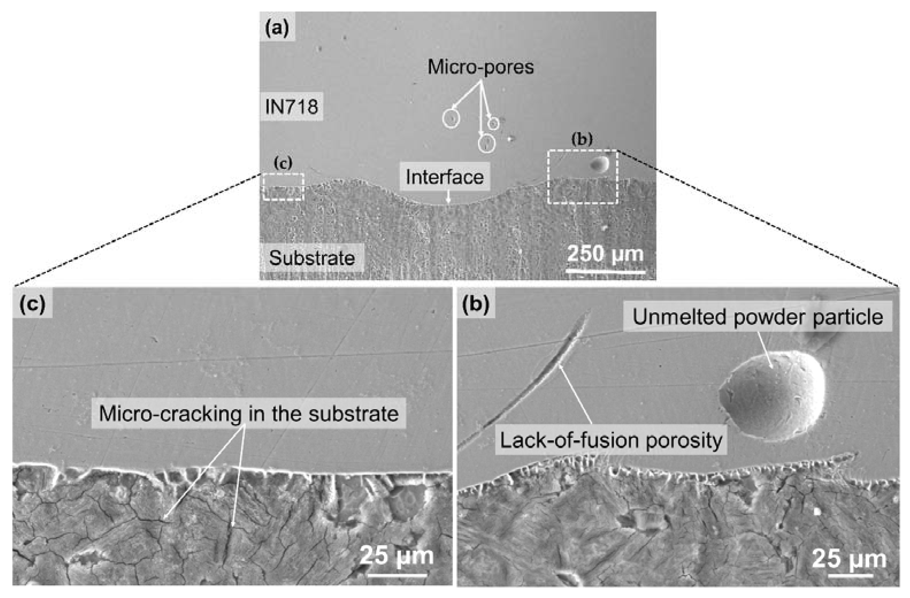 Materials 10 00341 g003
