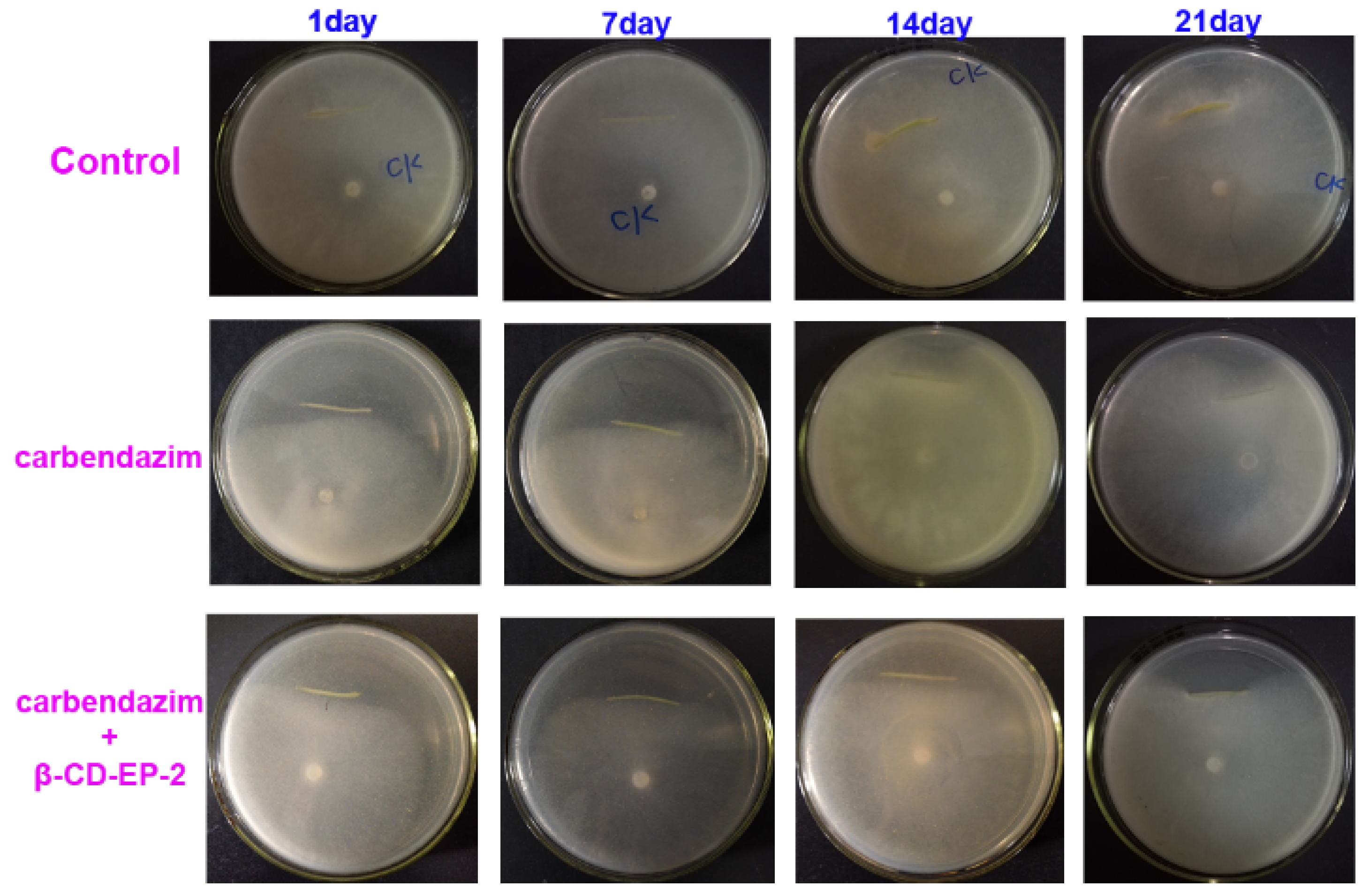 Materials 10 00343 g016