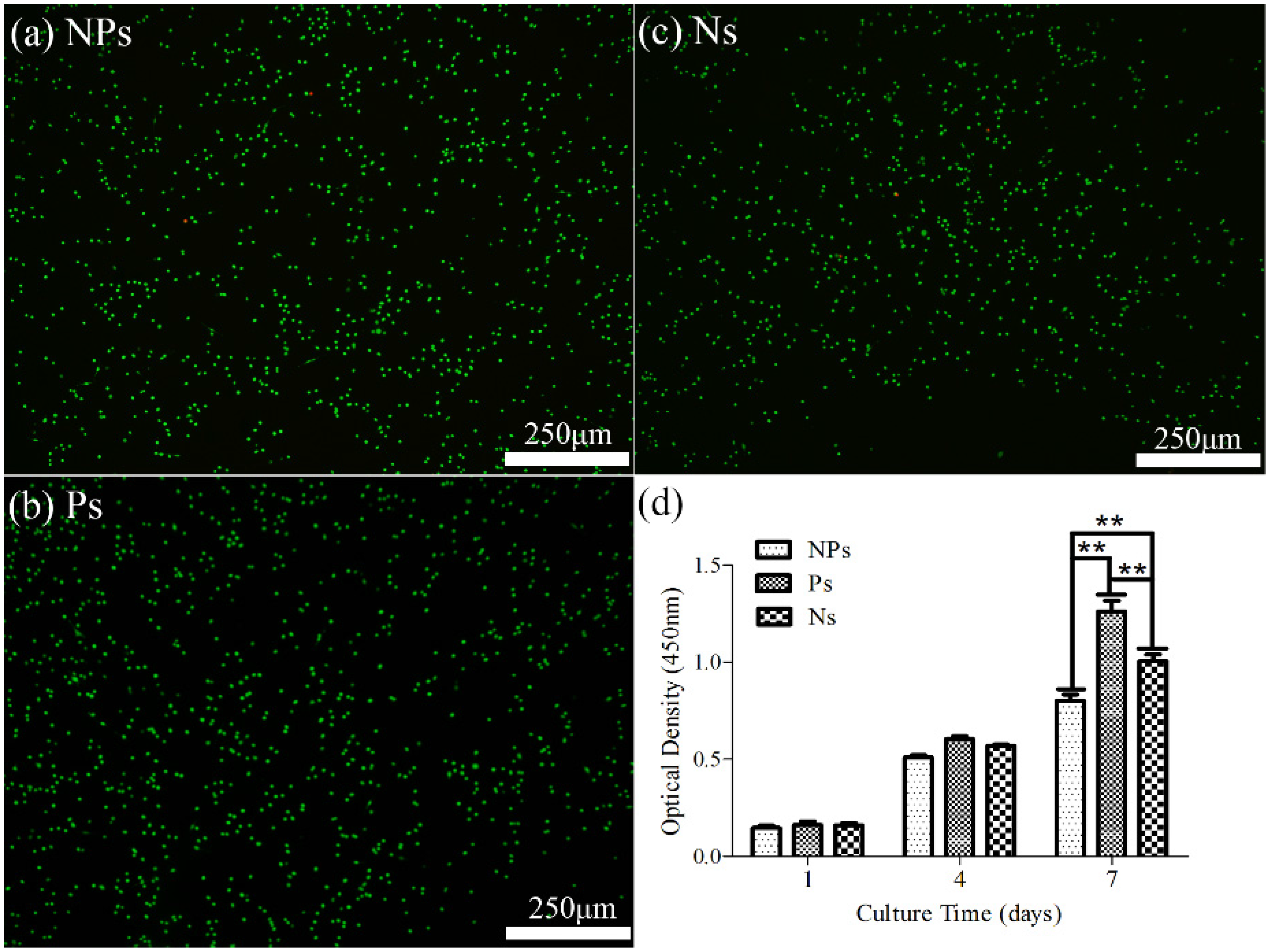 Materials 10 00345 g007 550
