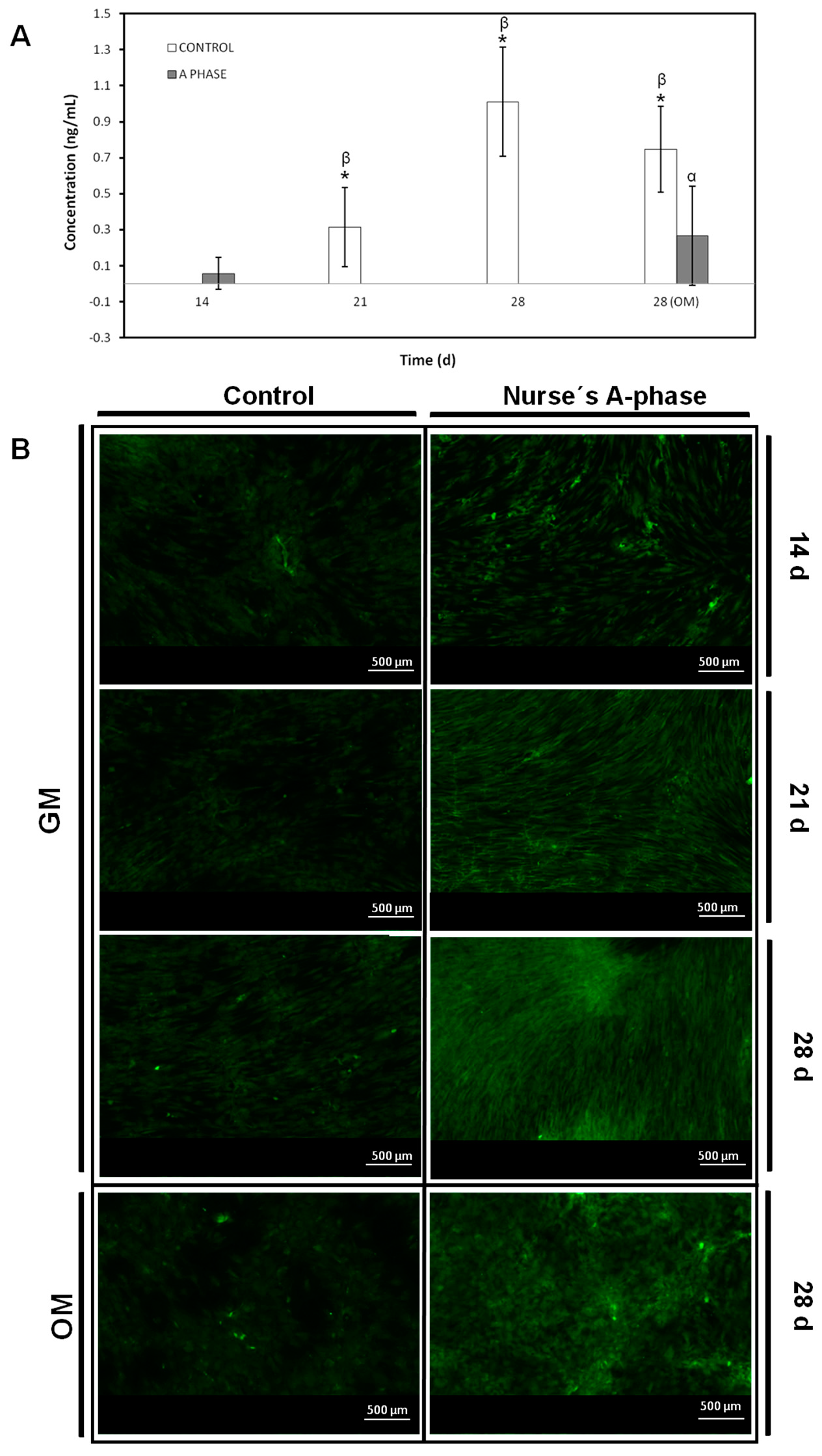 Materials 10 00347 g006 550