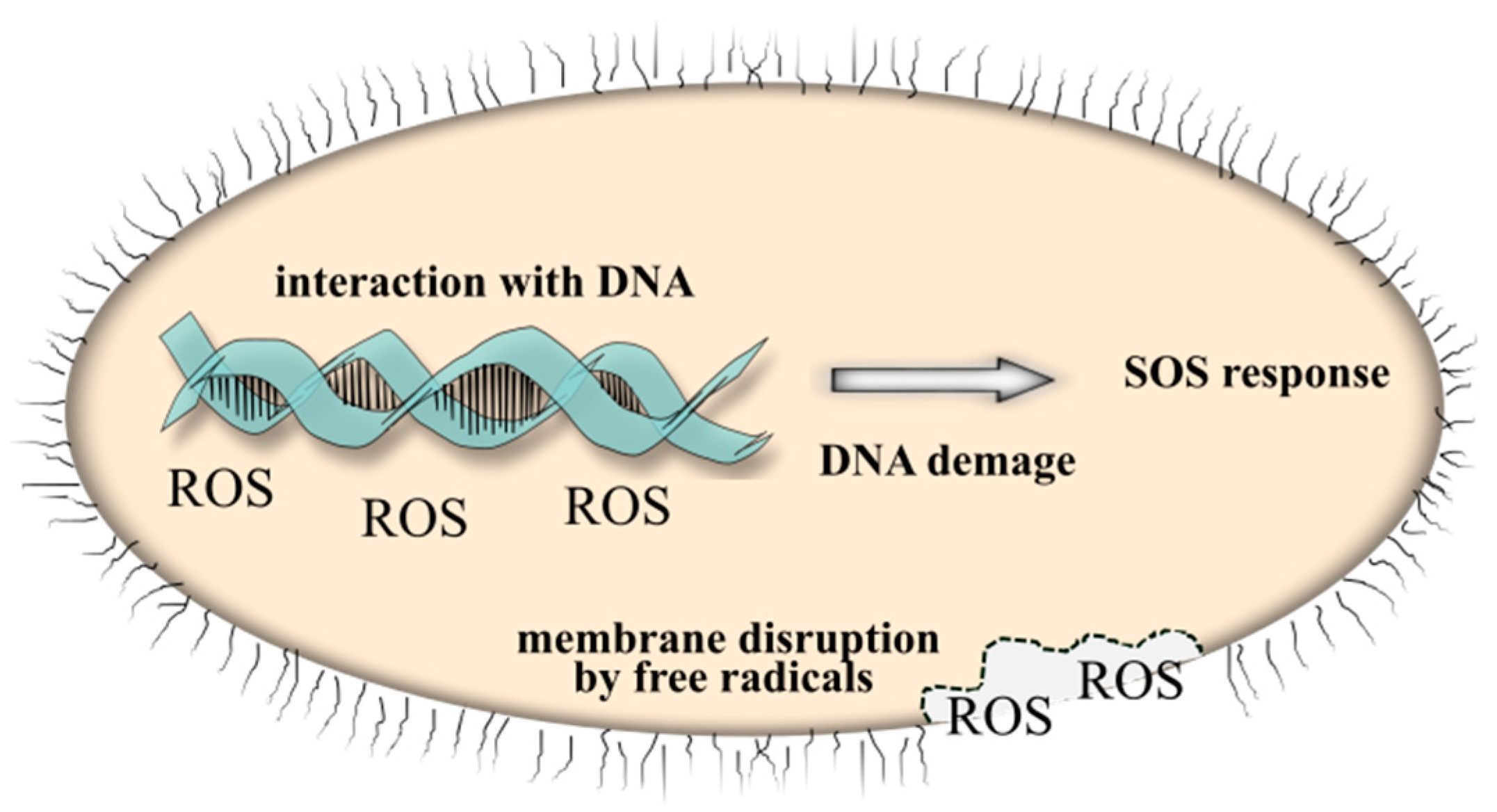 Materials 10 00353 g011