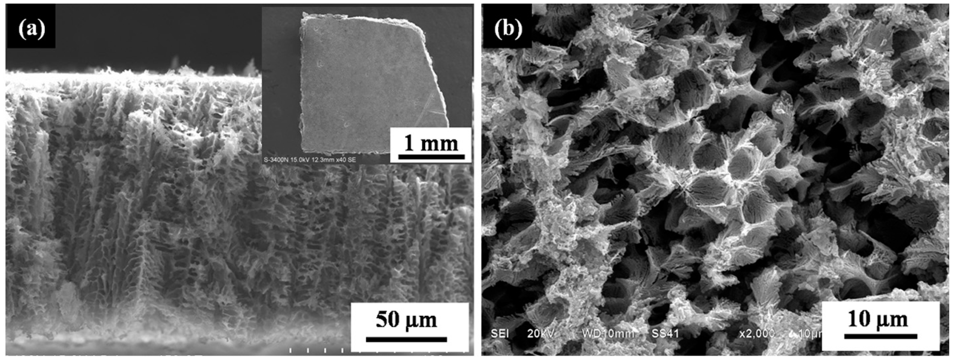 Materials 10 00357 g003a