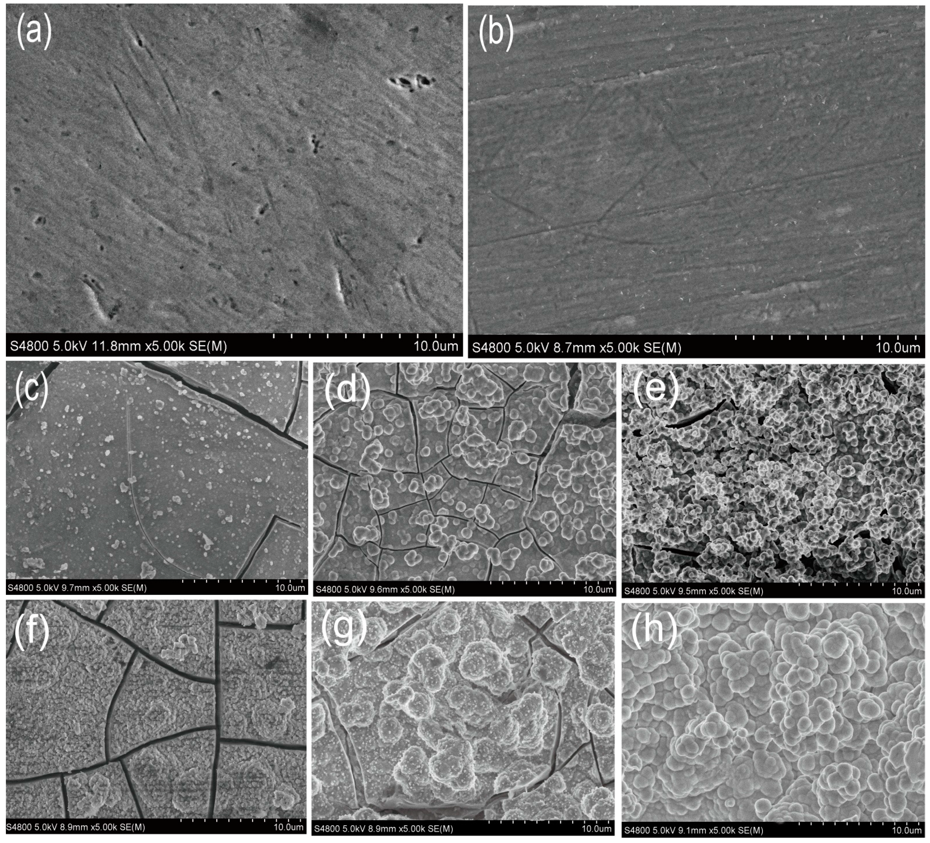 Materials 10 00358 g003