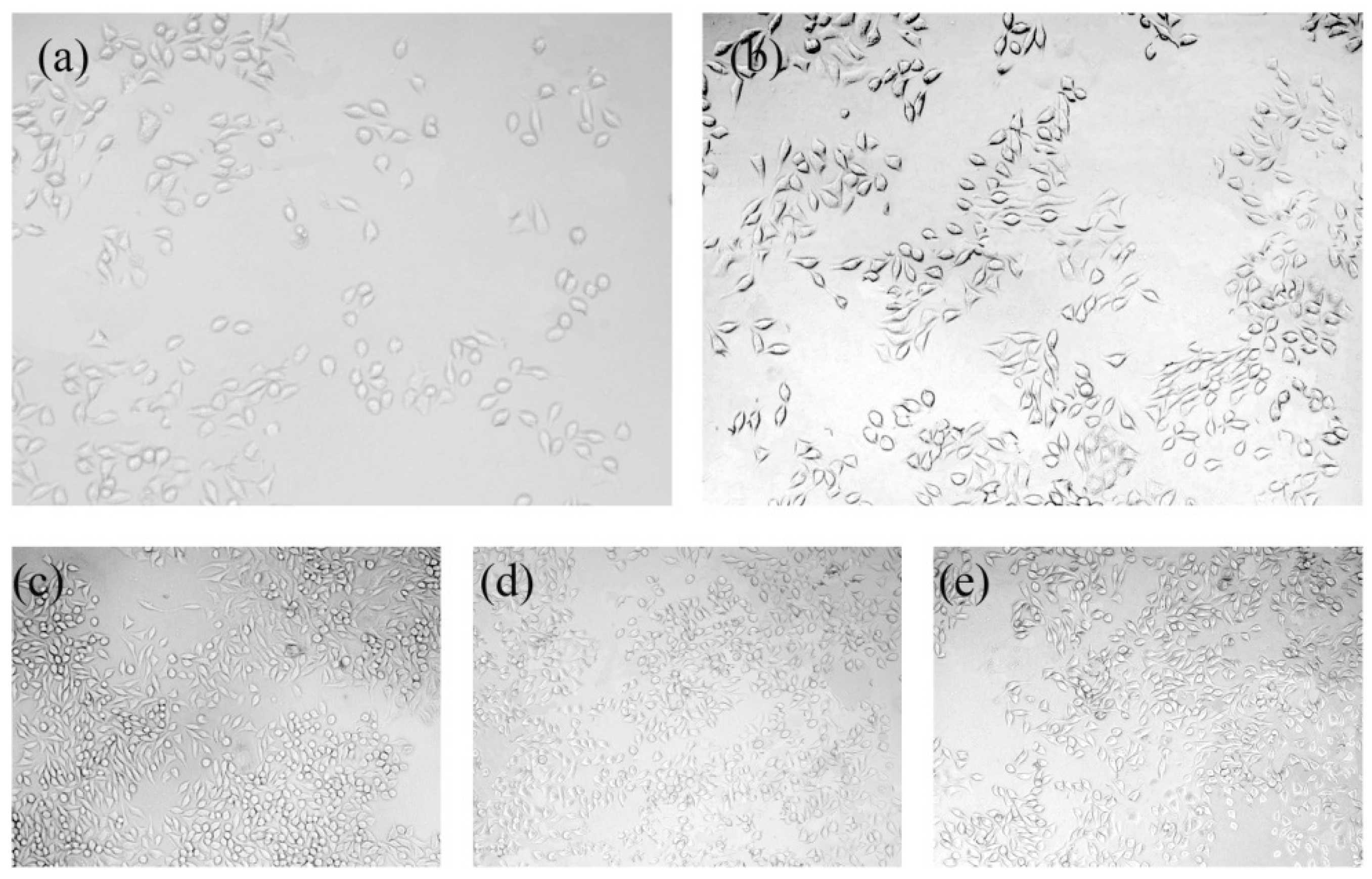 Materials 10 00358 g013