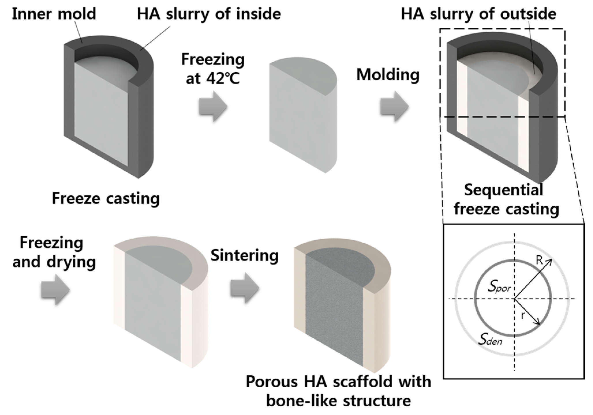 PDF) Development of hydroxiapatite porous bioceramics for use as