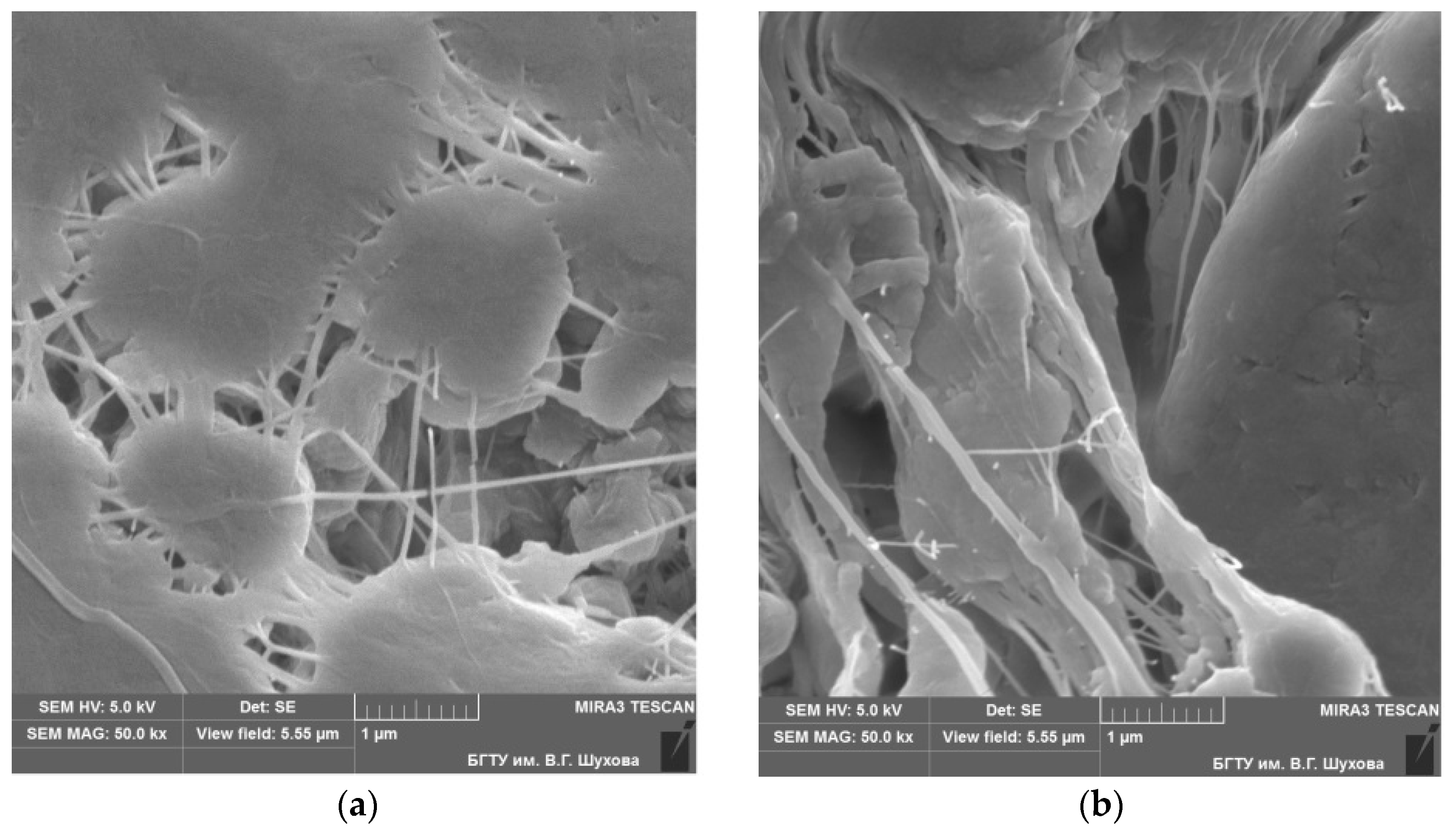 Materials 10 00377 g003 550