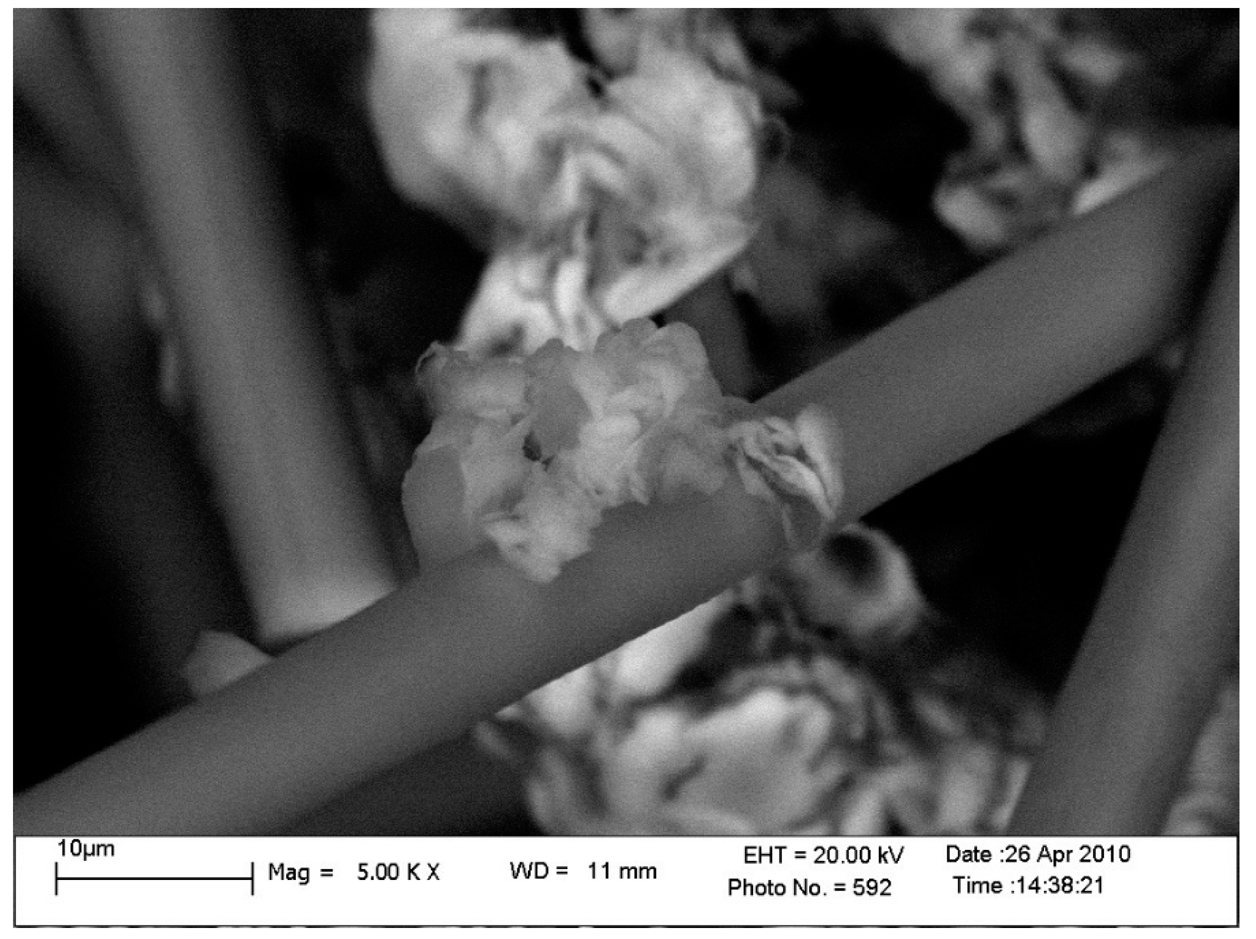 Materials 10 00377 g005 550