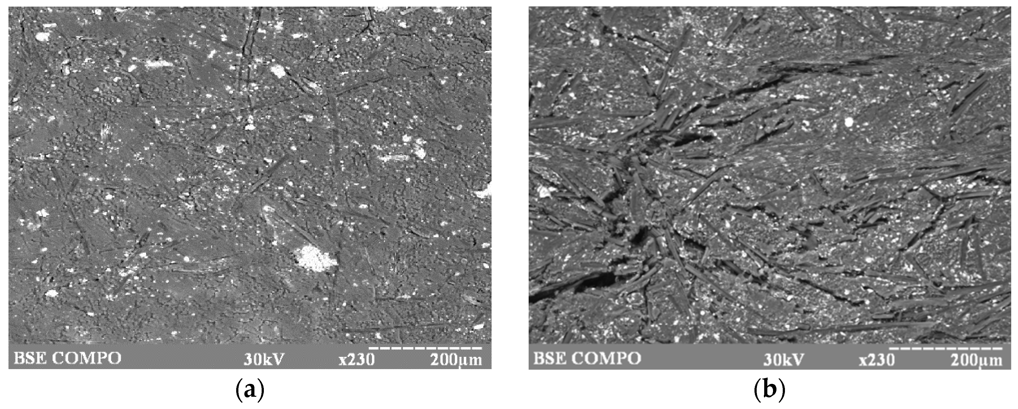 Materials 10 00377 g006 550