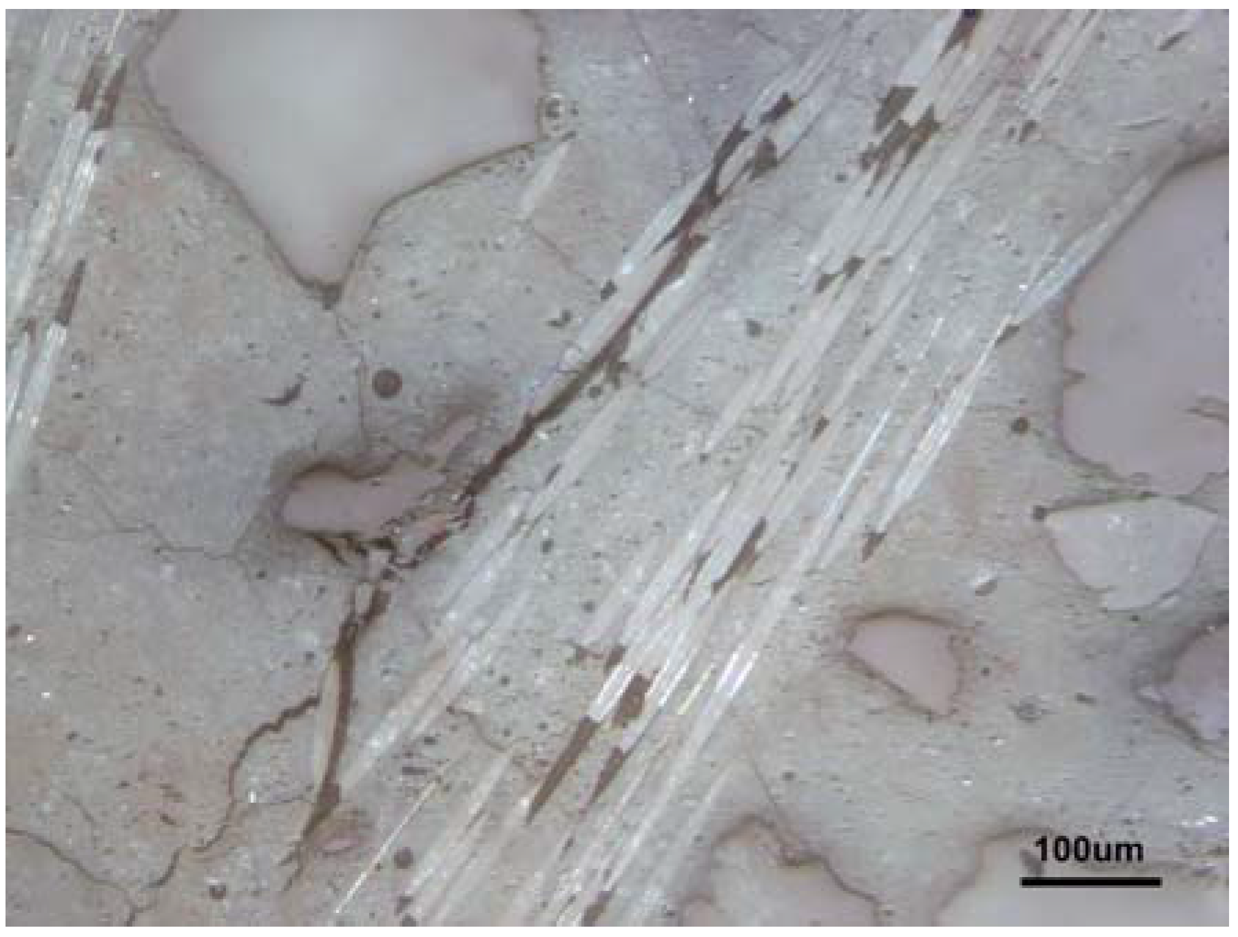 Materials 10 00396 g014