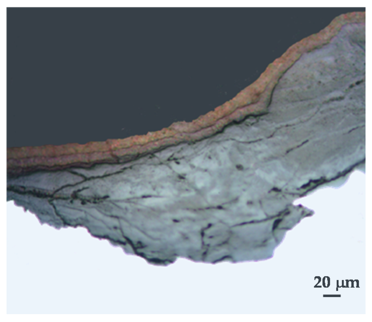 Materials 10 00406 g019