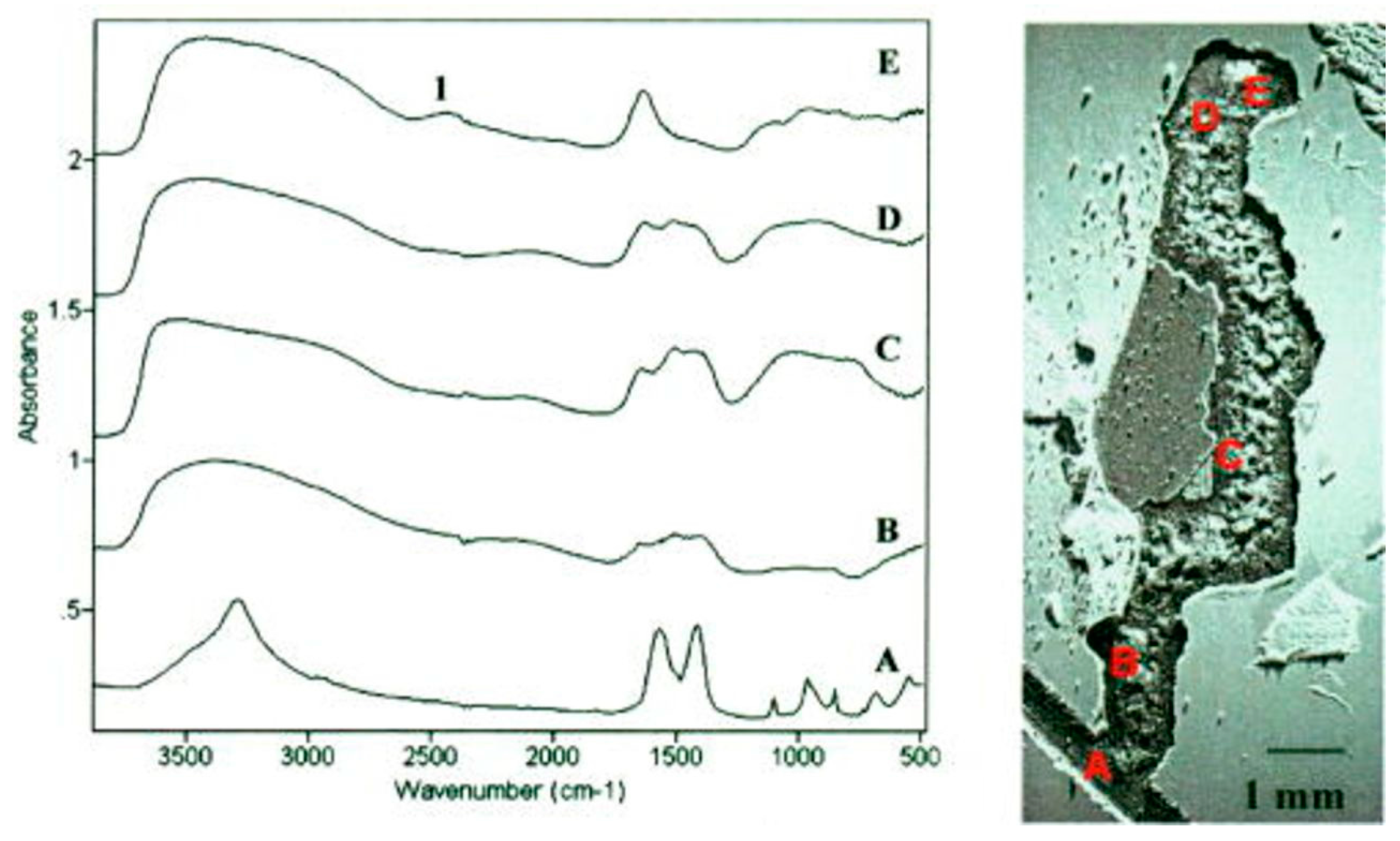 Materials 10 00413 g008 550