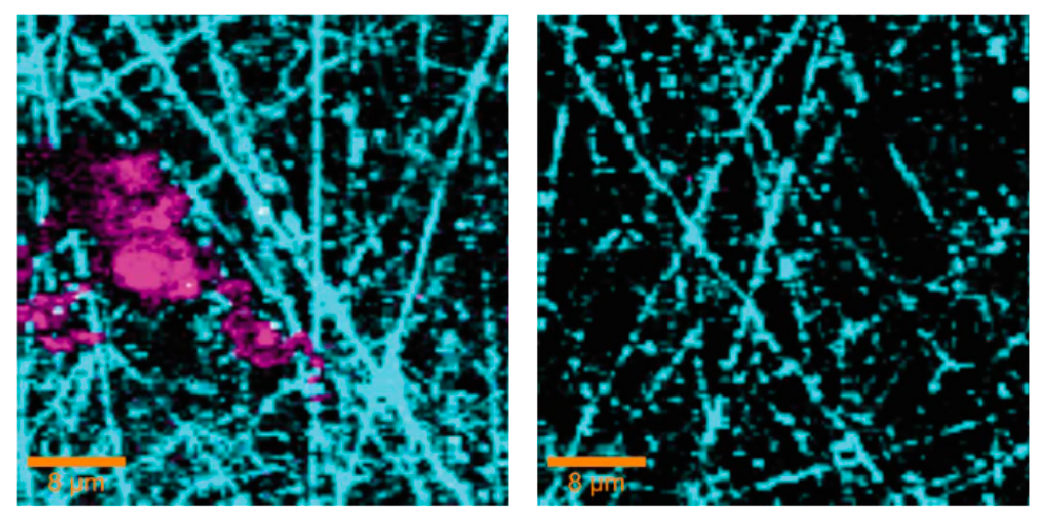 Materials 10 00413 g012 550