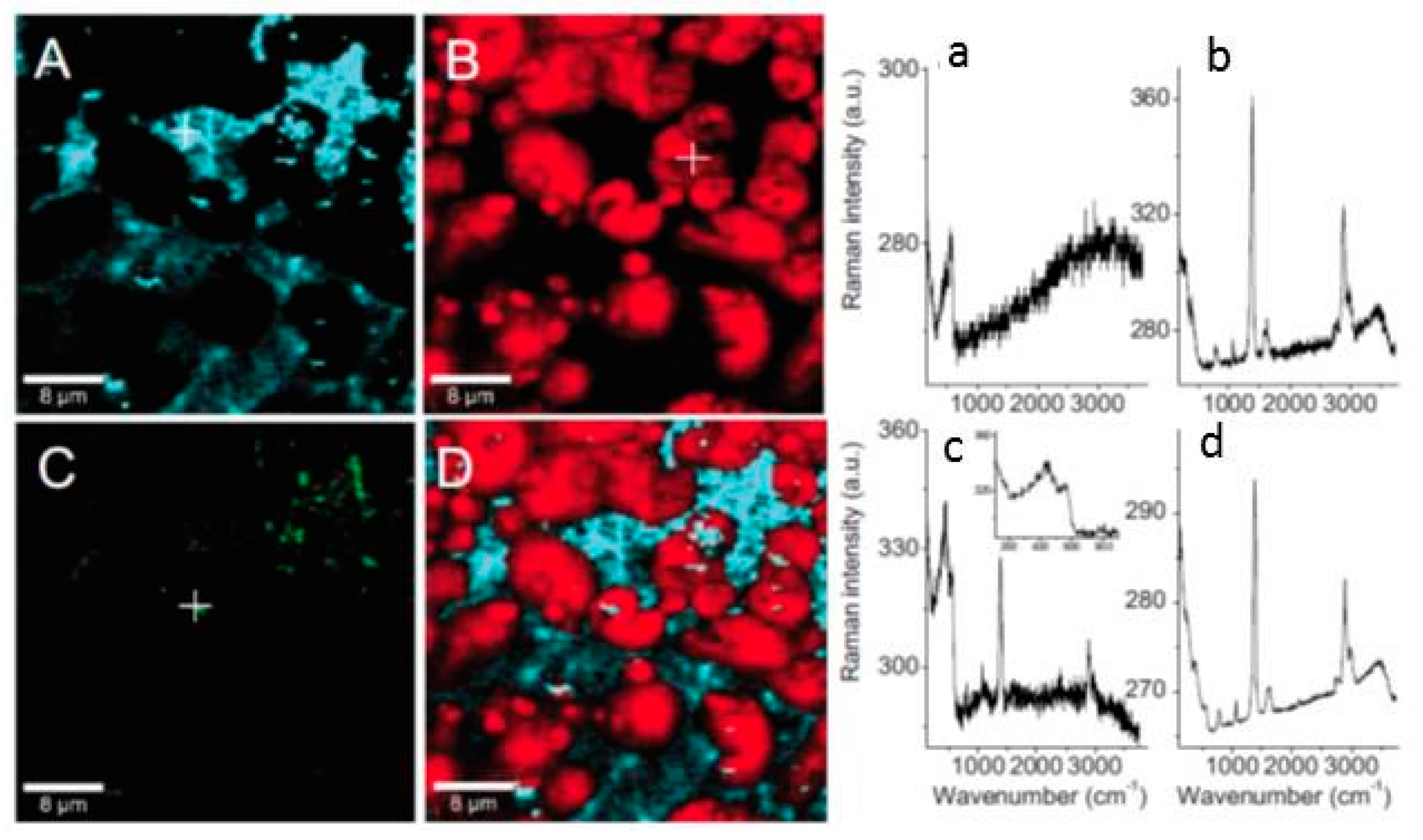 Materials 10 00413 g014 550