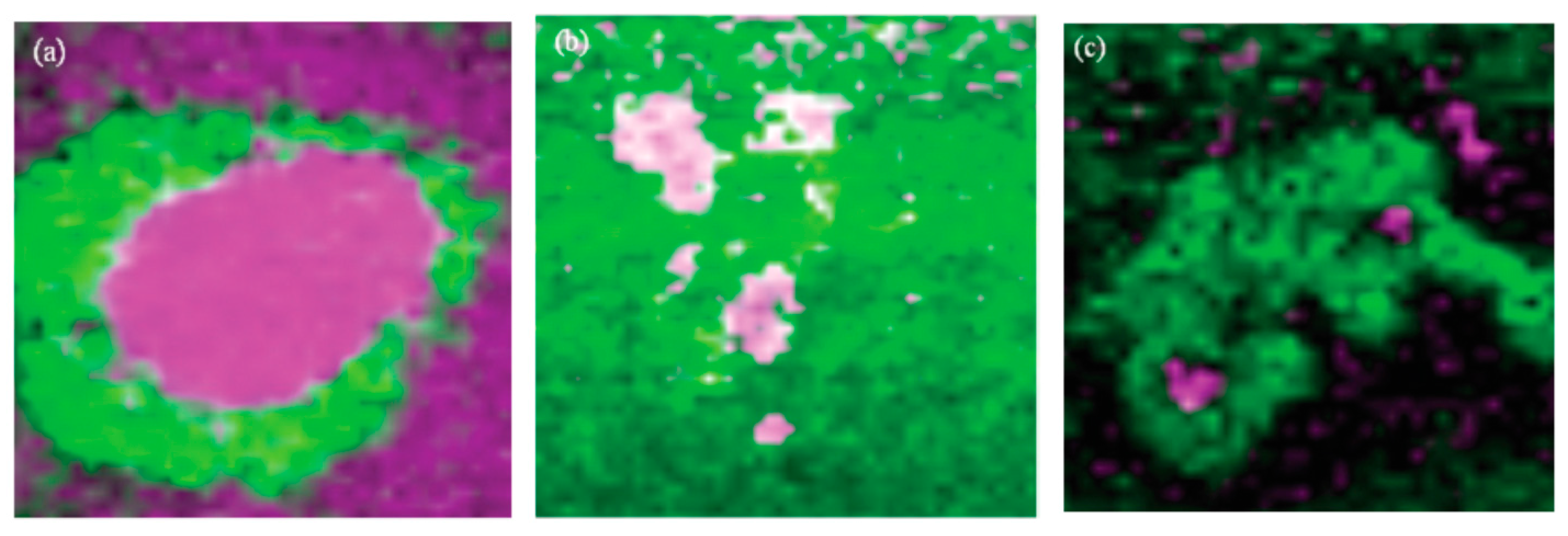 Materials 10 00413 g016 550