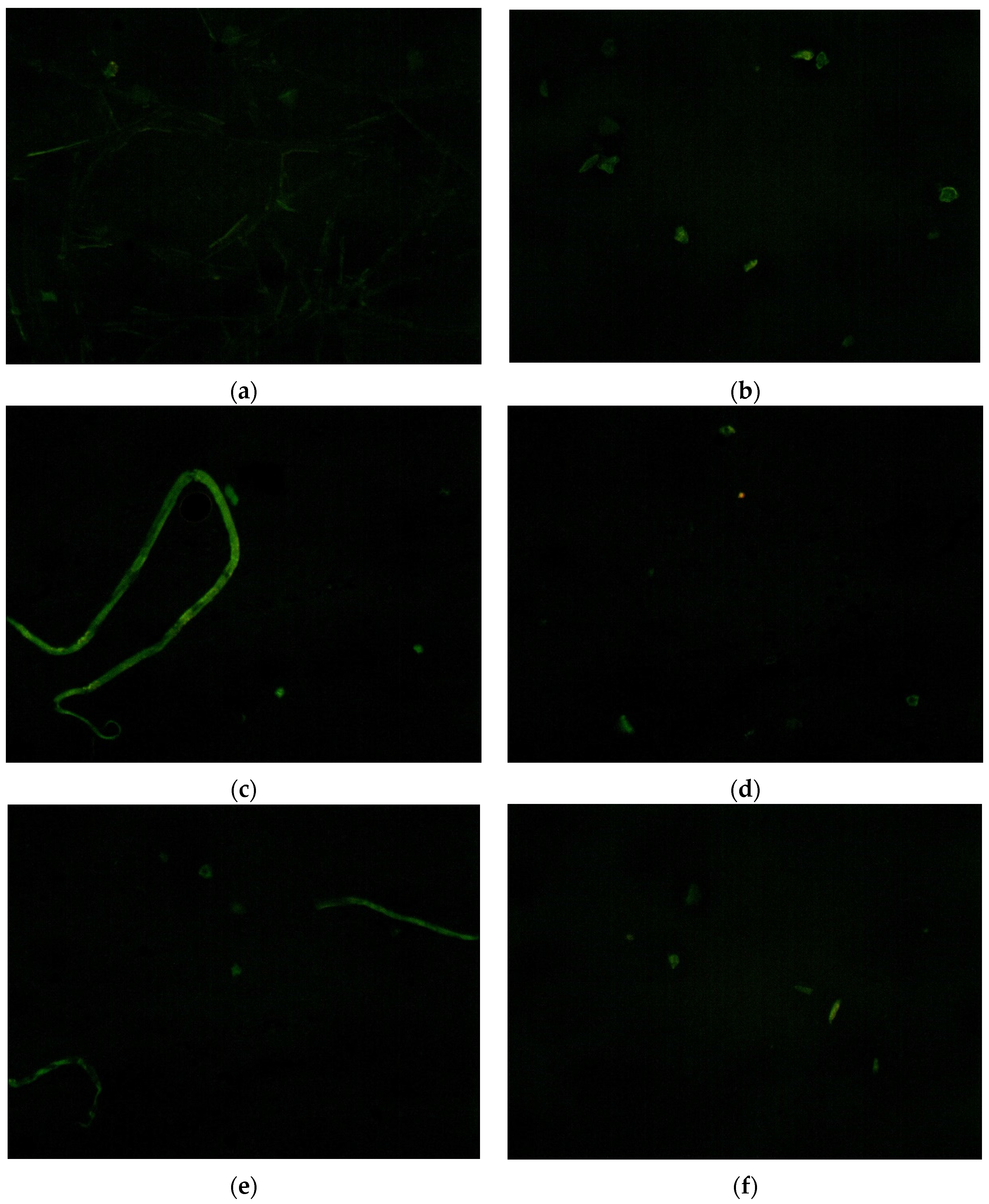 Materials 10 00416 g014 550