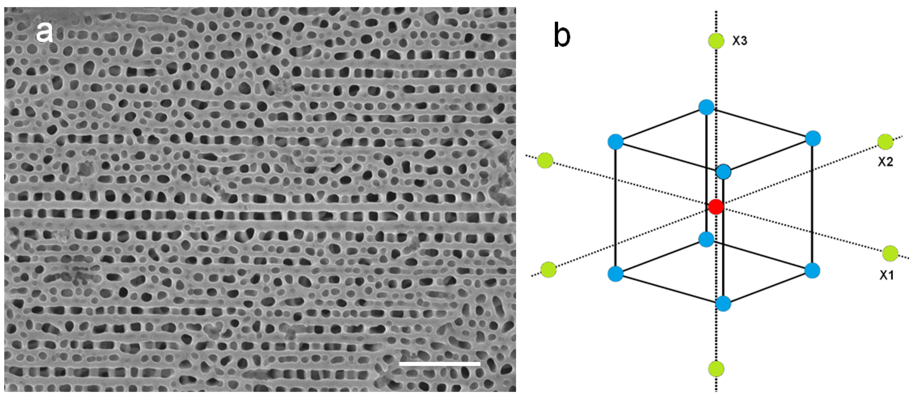 Materials 10 00417 g001