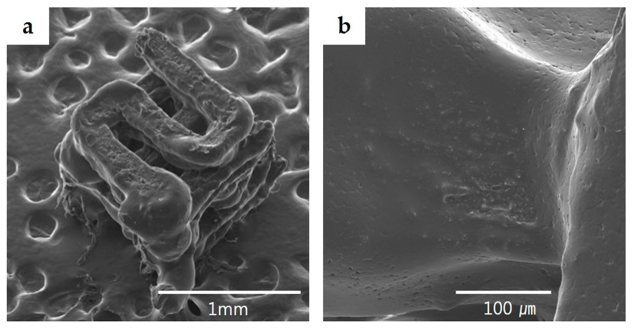 Materials 10 00421 g005 550