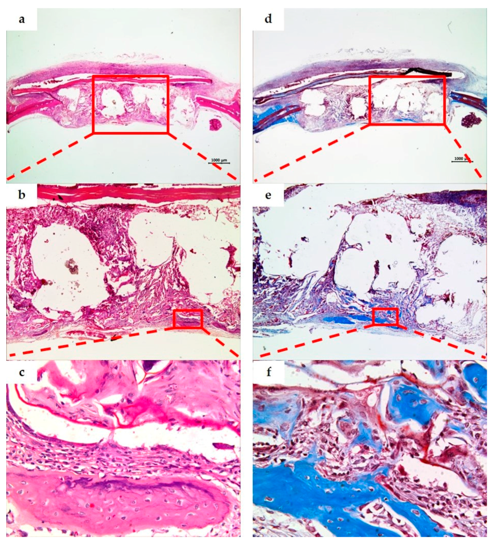 Materials 10 00421 g008 550