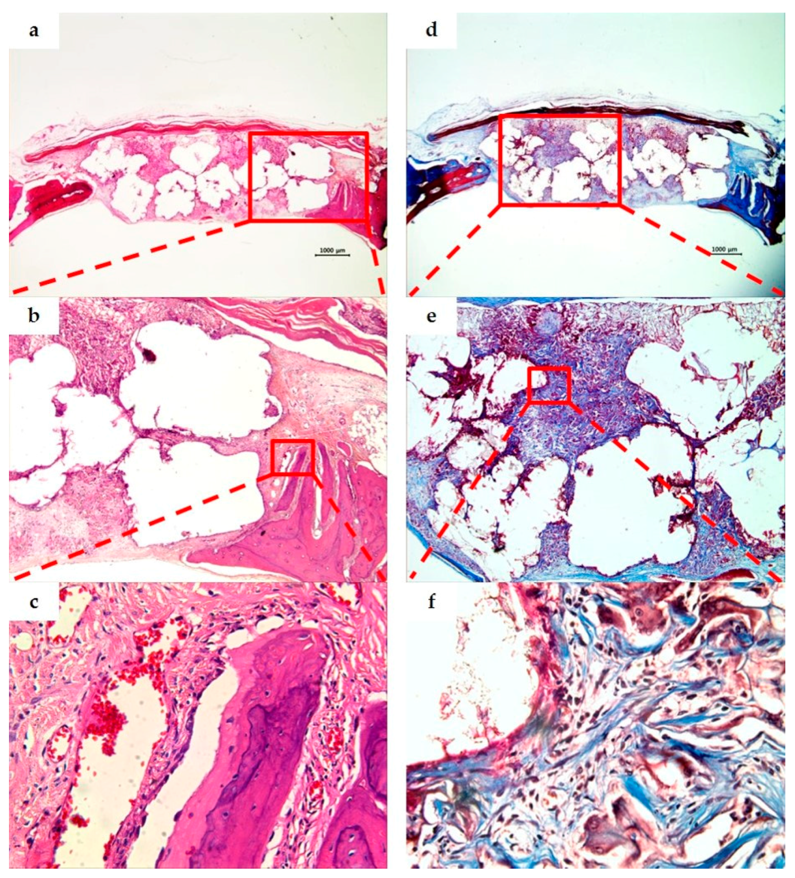 Materials 10 00421 g009 550