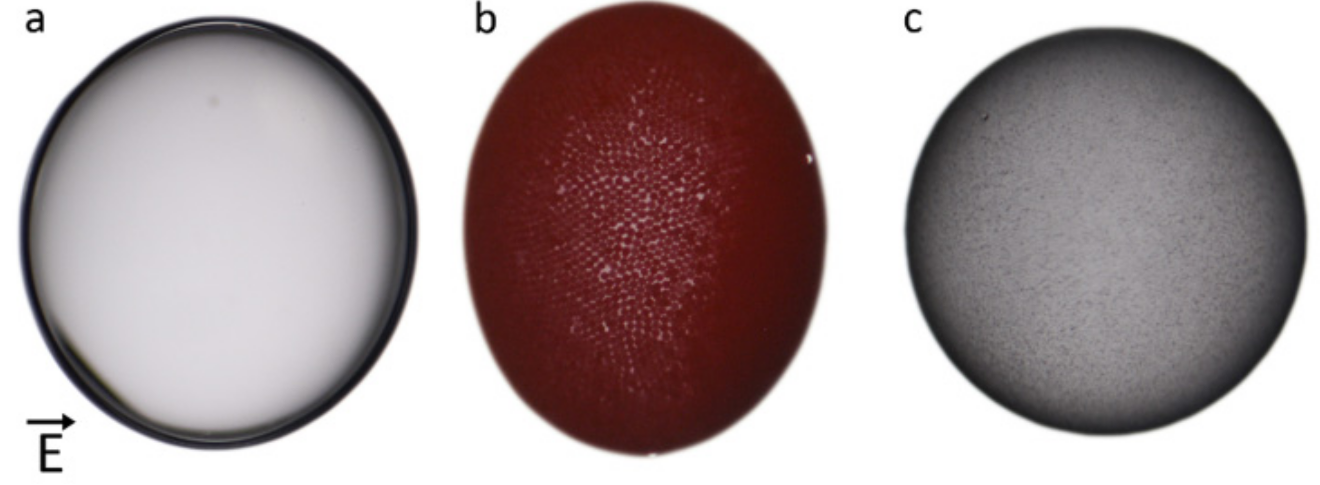 Materials 10 00436 g001