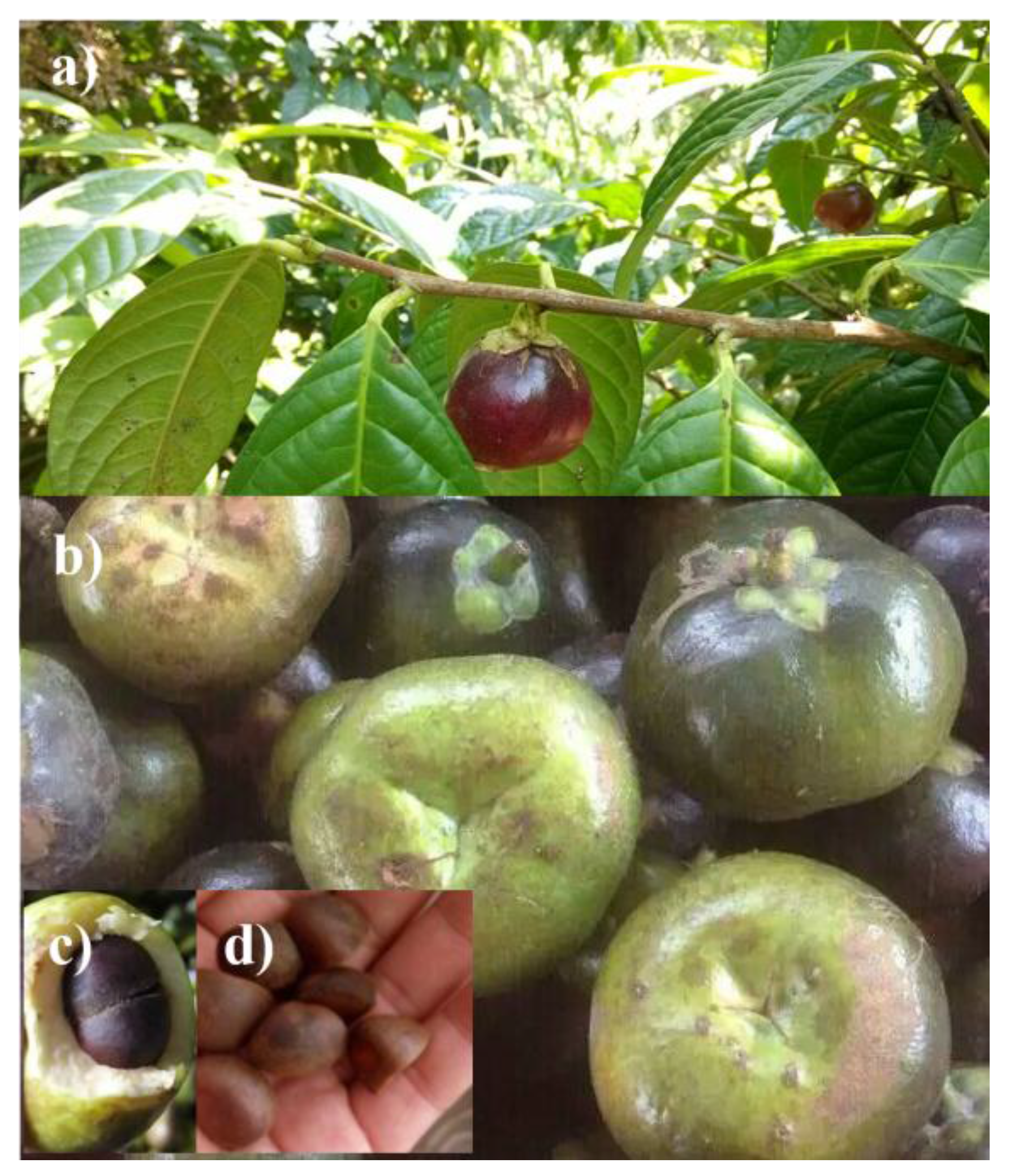 Materials 10 00443 g001