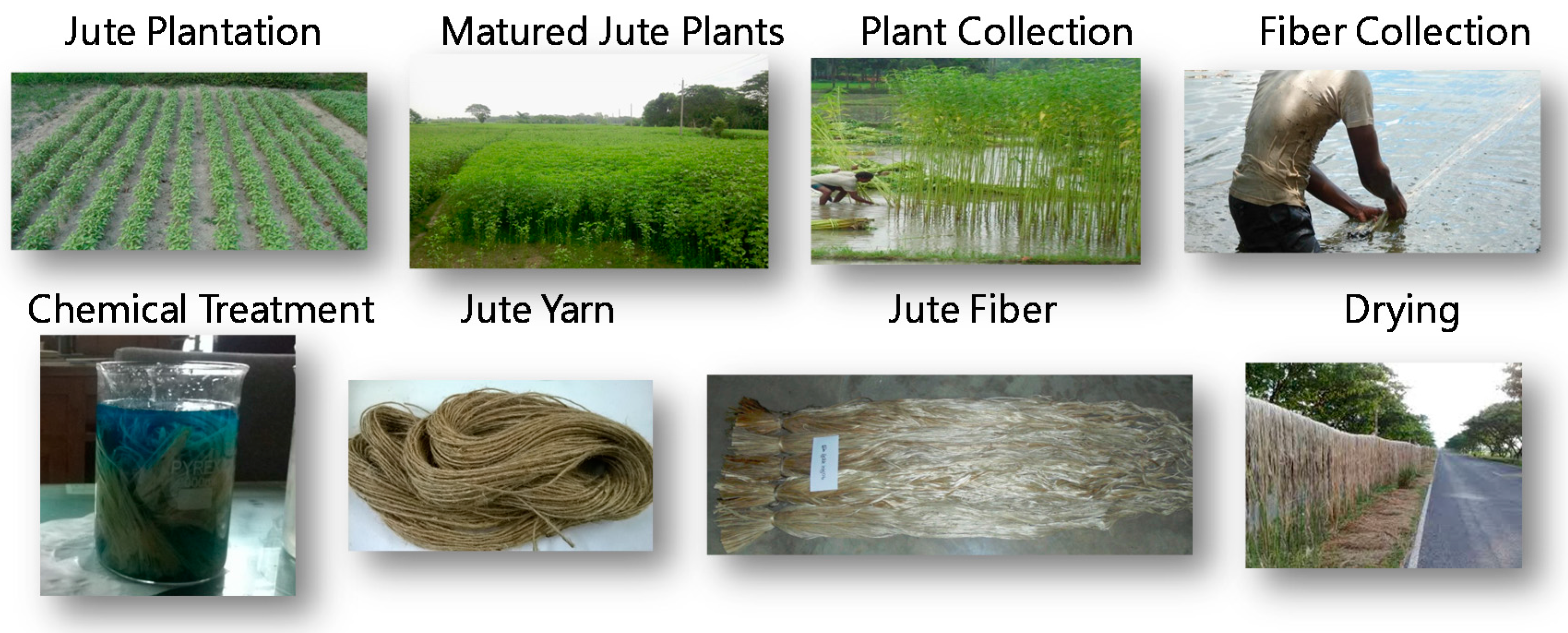 Materials 10 00450 g001 550