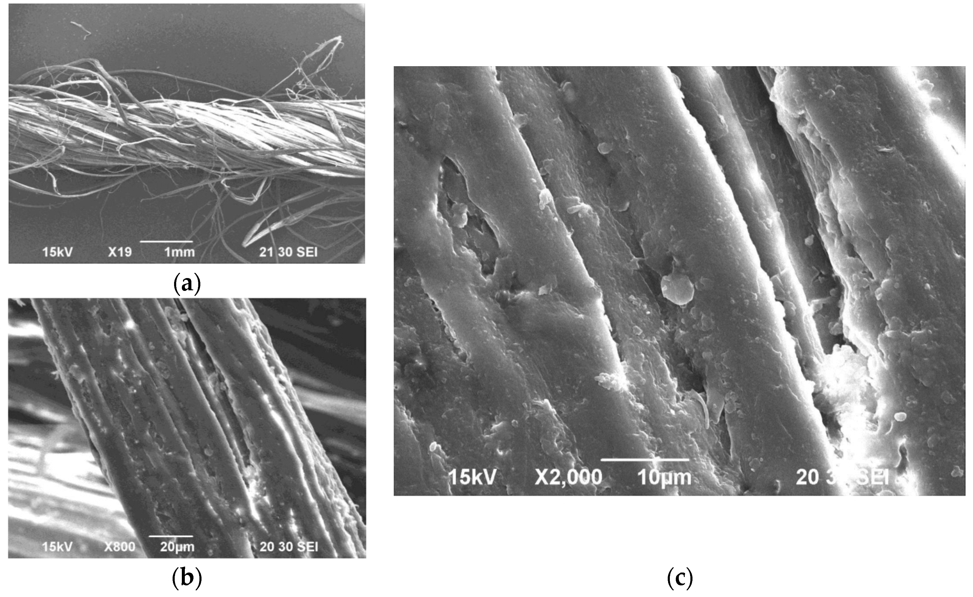 Materials 10 00450 g003 550