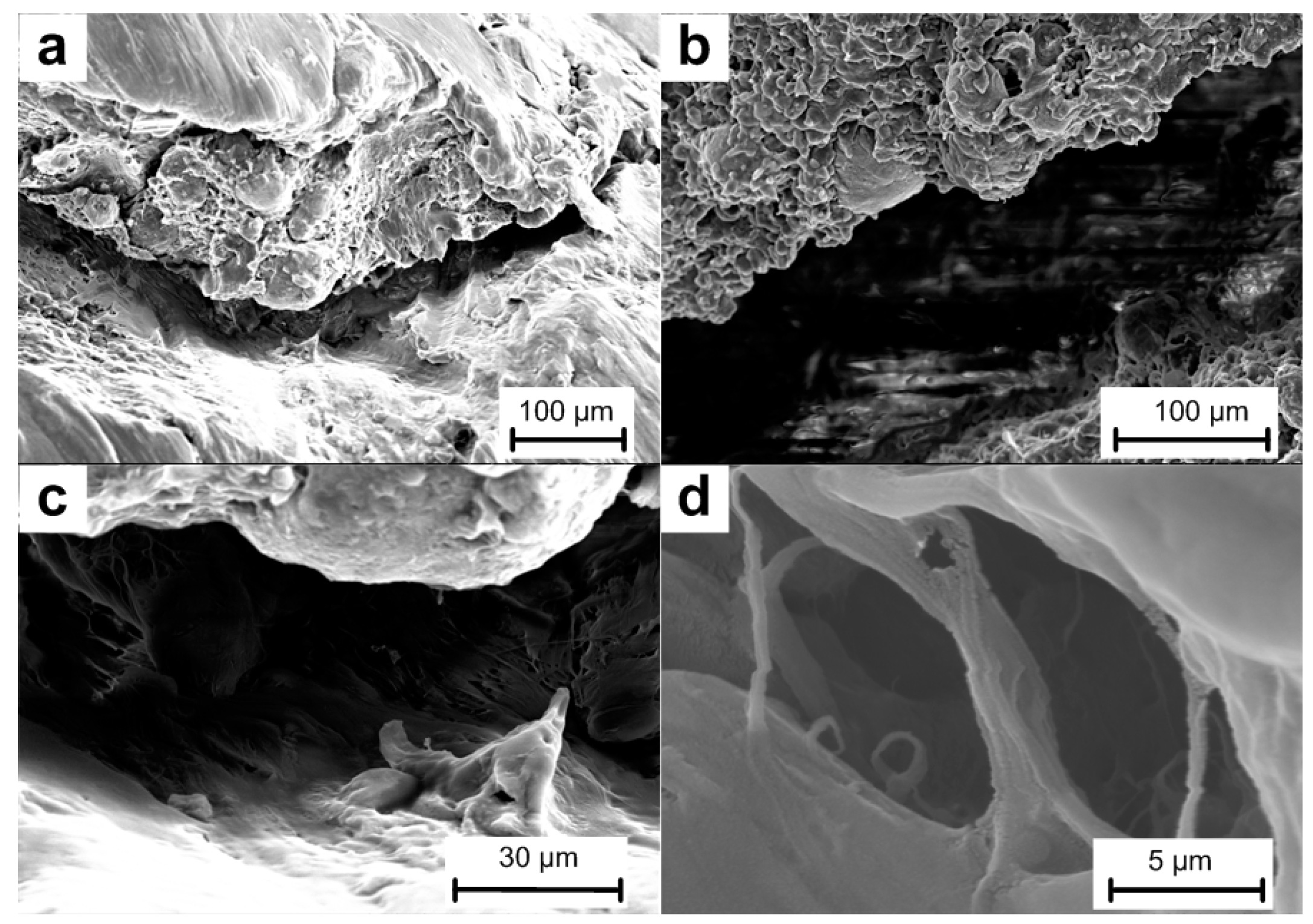 Materials 10 00452 g005 550