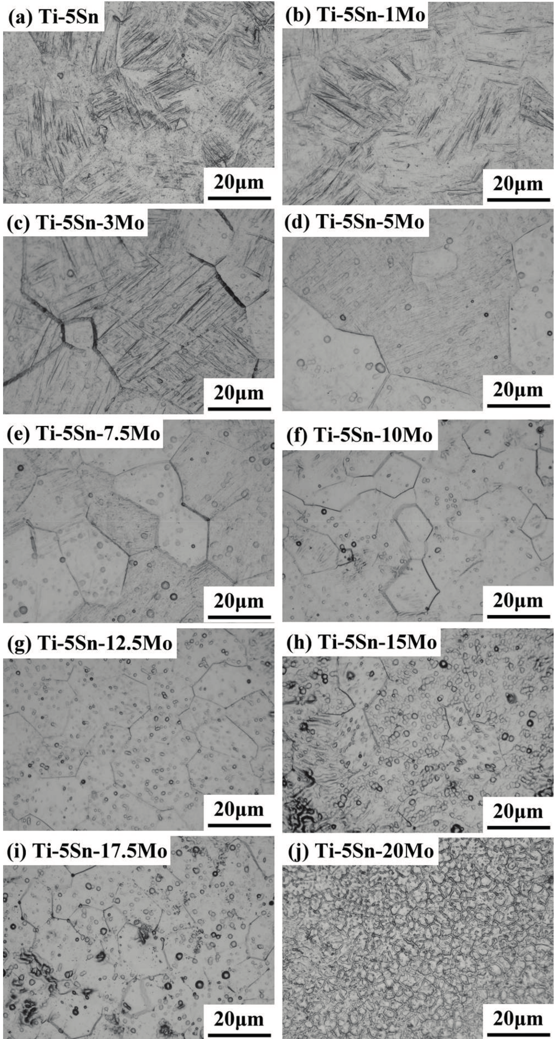 Materials 10 00458 g002 550