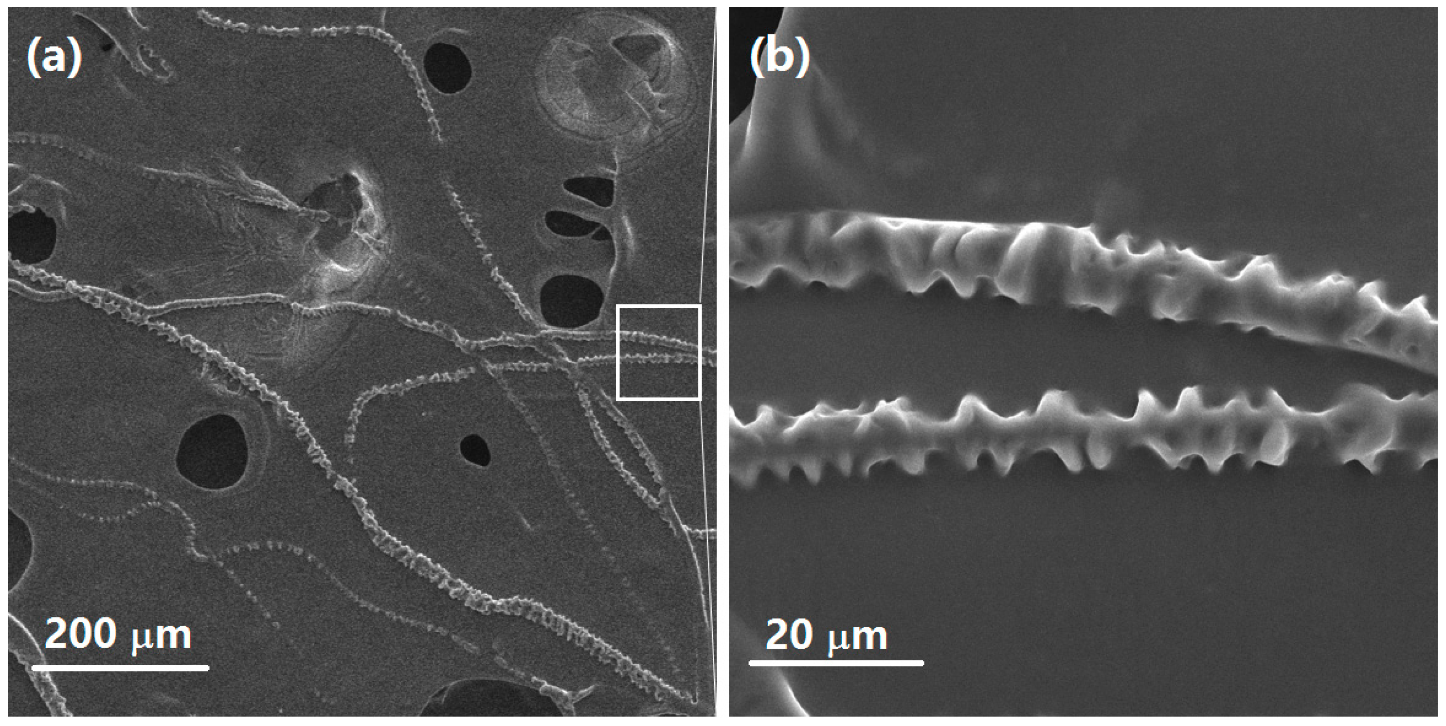 Materials 10 00464 g002
