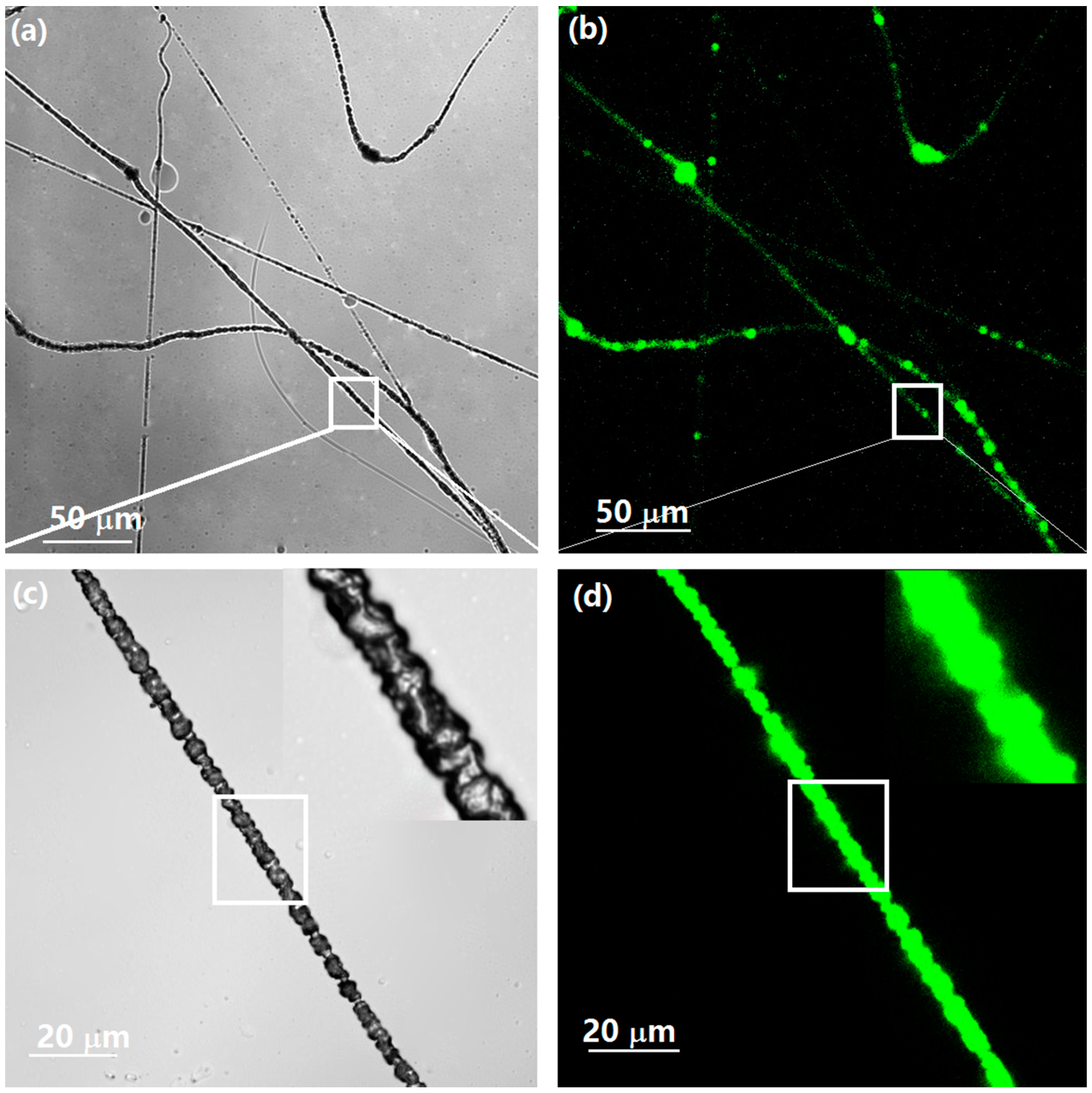 Materials 10 00464 g003
