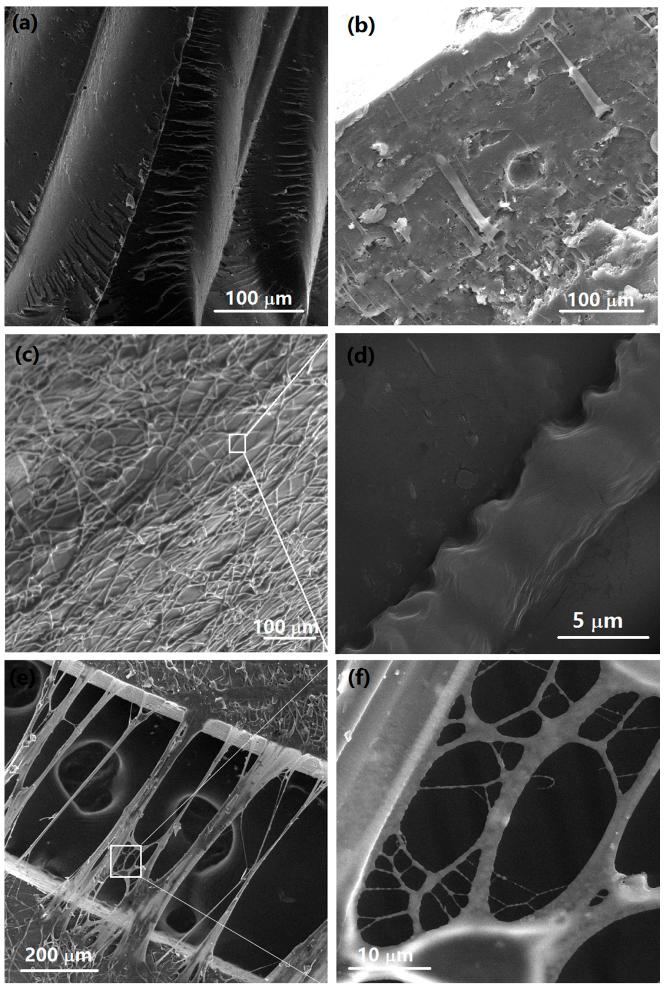 Materials 10 00464 g007