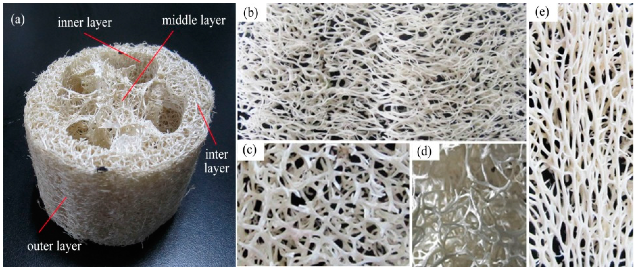 Materials 10 00479 g003 550