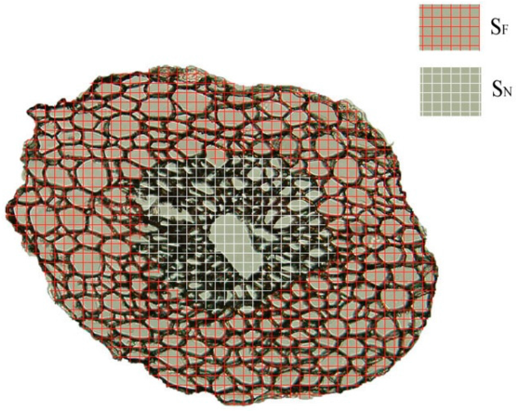 Materials 10 00479 g005 550