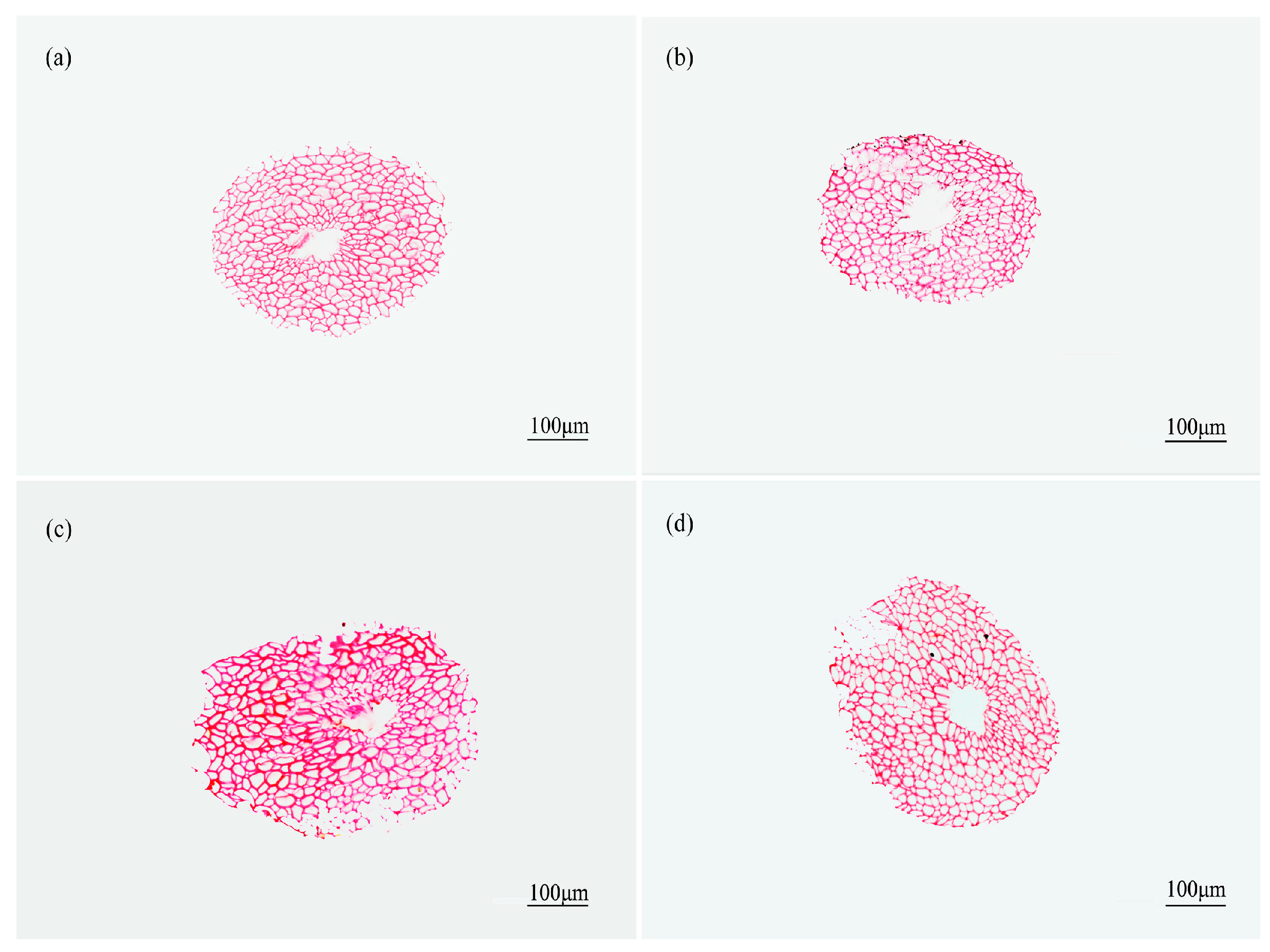 Materials 10 00479 g010 550