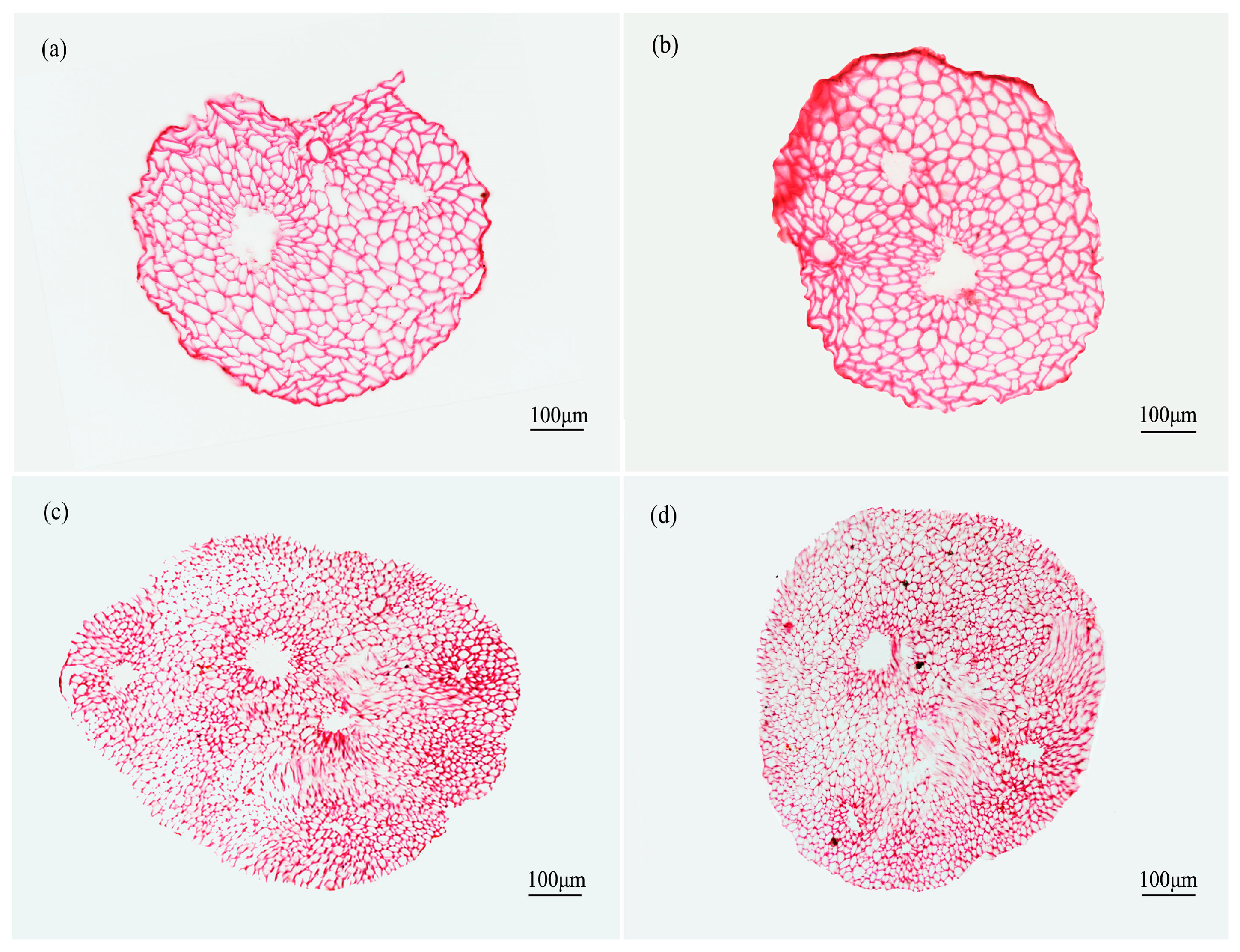 Materials 10 00479 g011 550