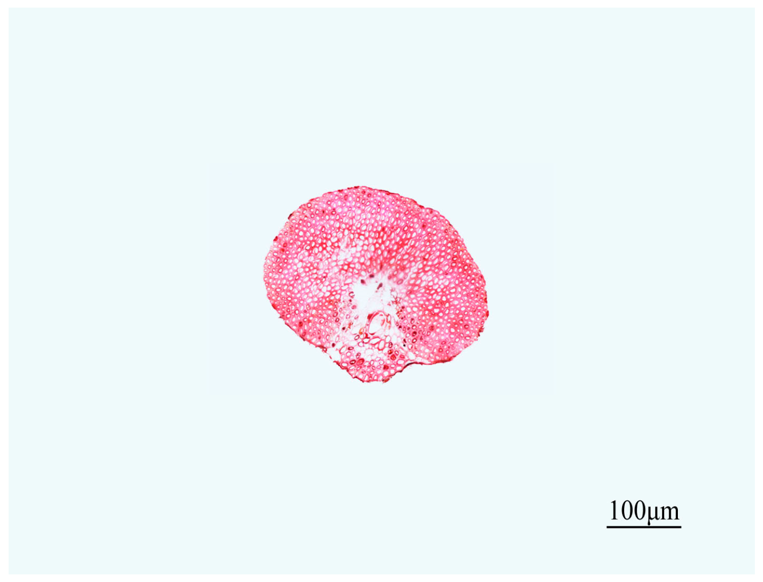 Materials 10 00479 g012 550