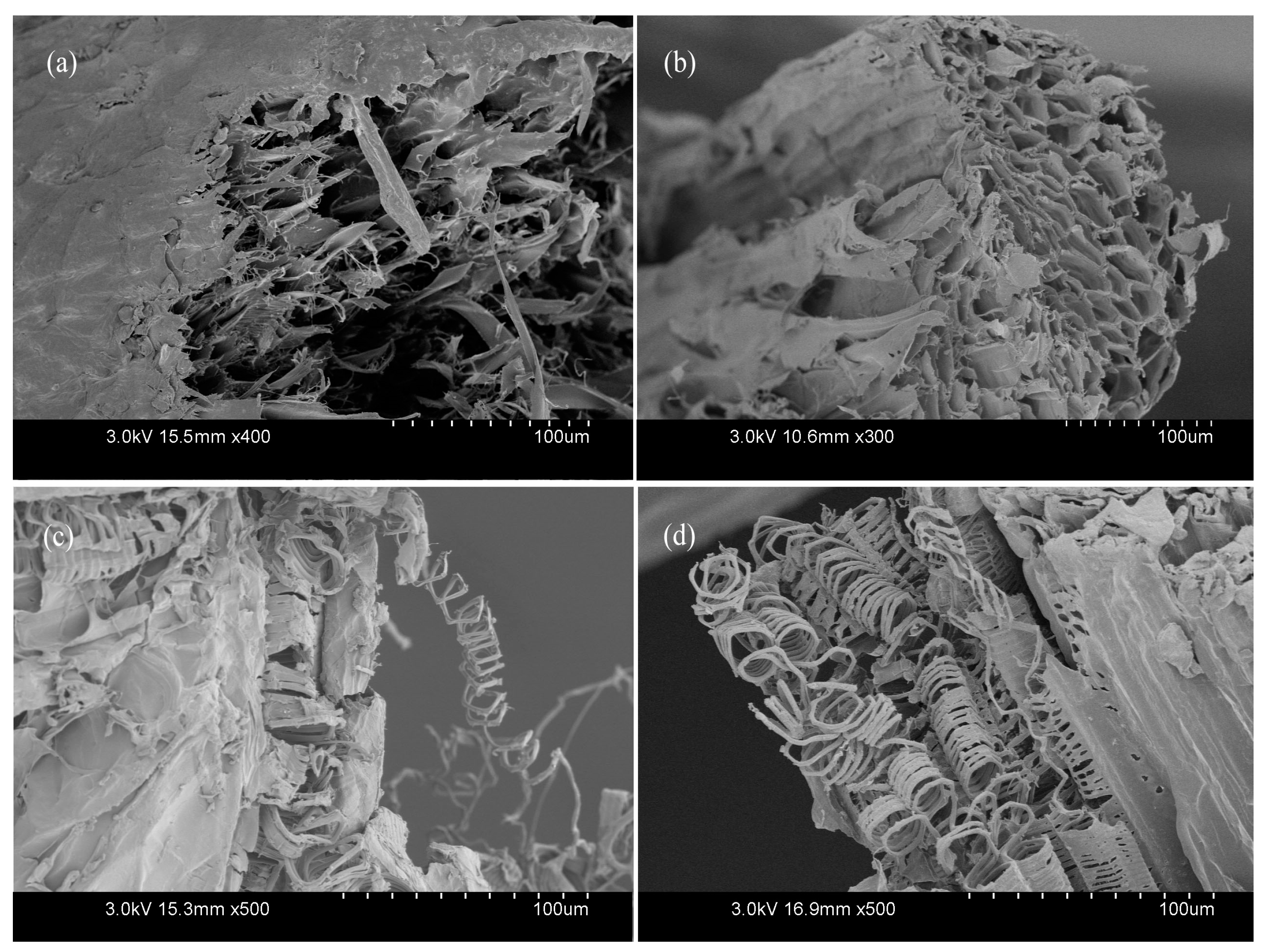 Materials 10 00479 g016 550