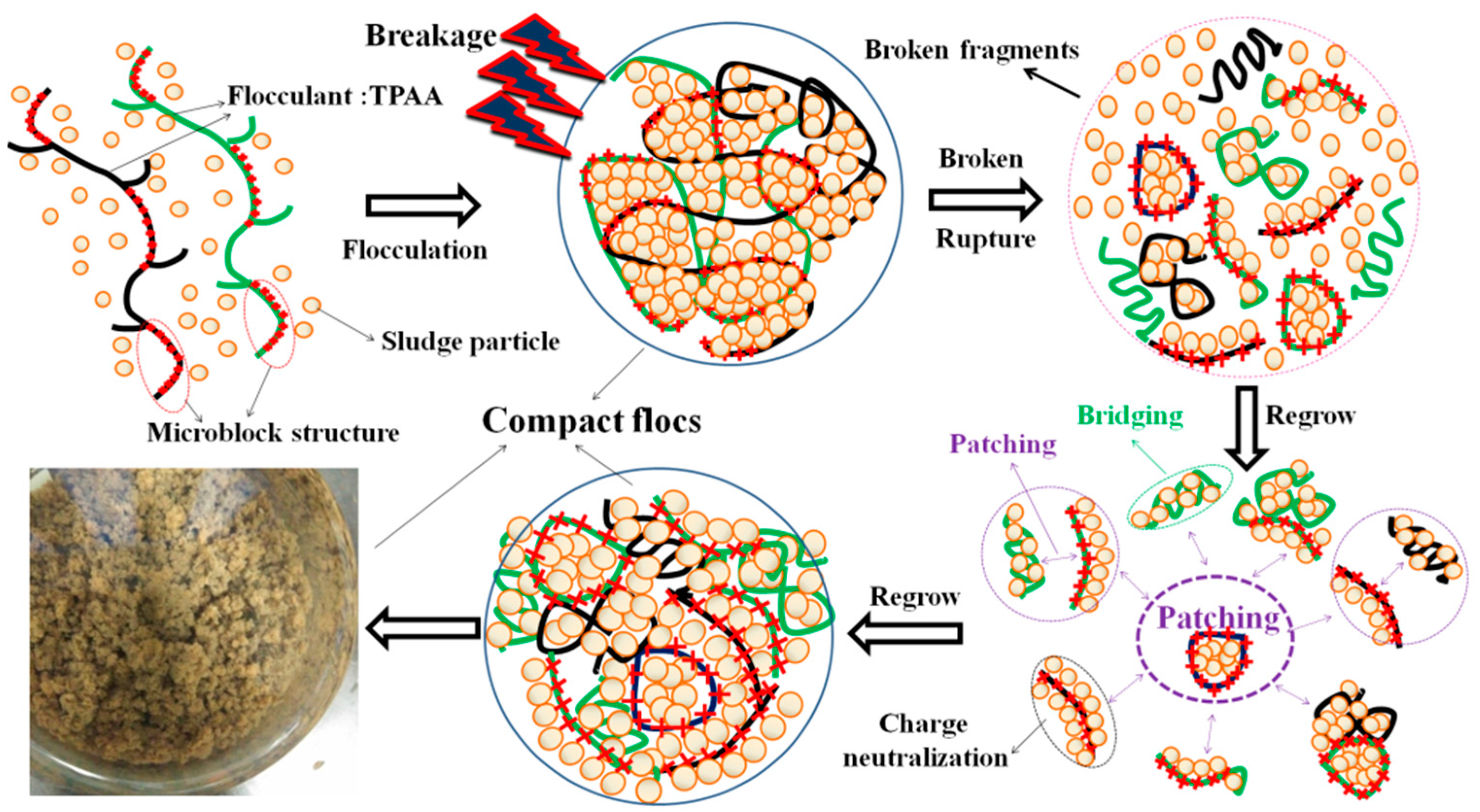 Materials 10 00487 g014 550