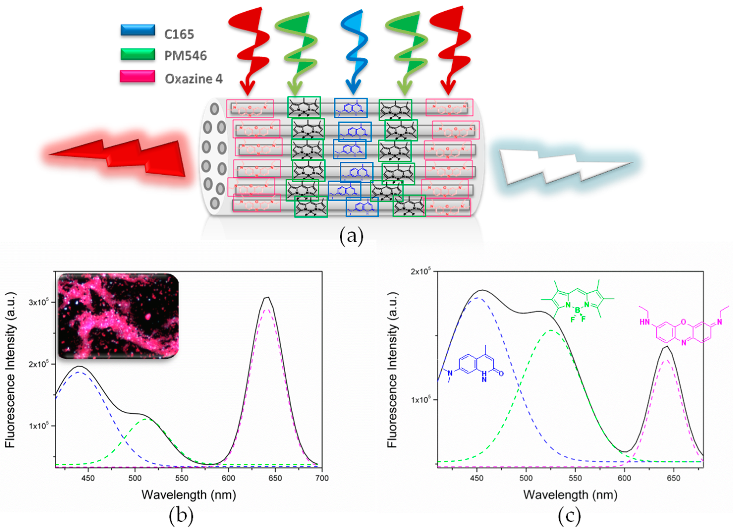 Materials 10 00495 g005 550