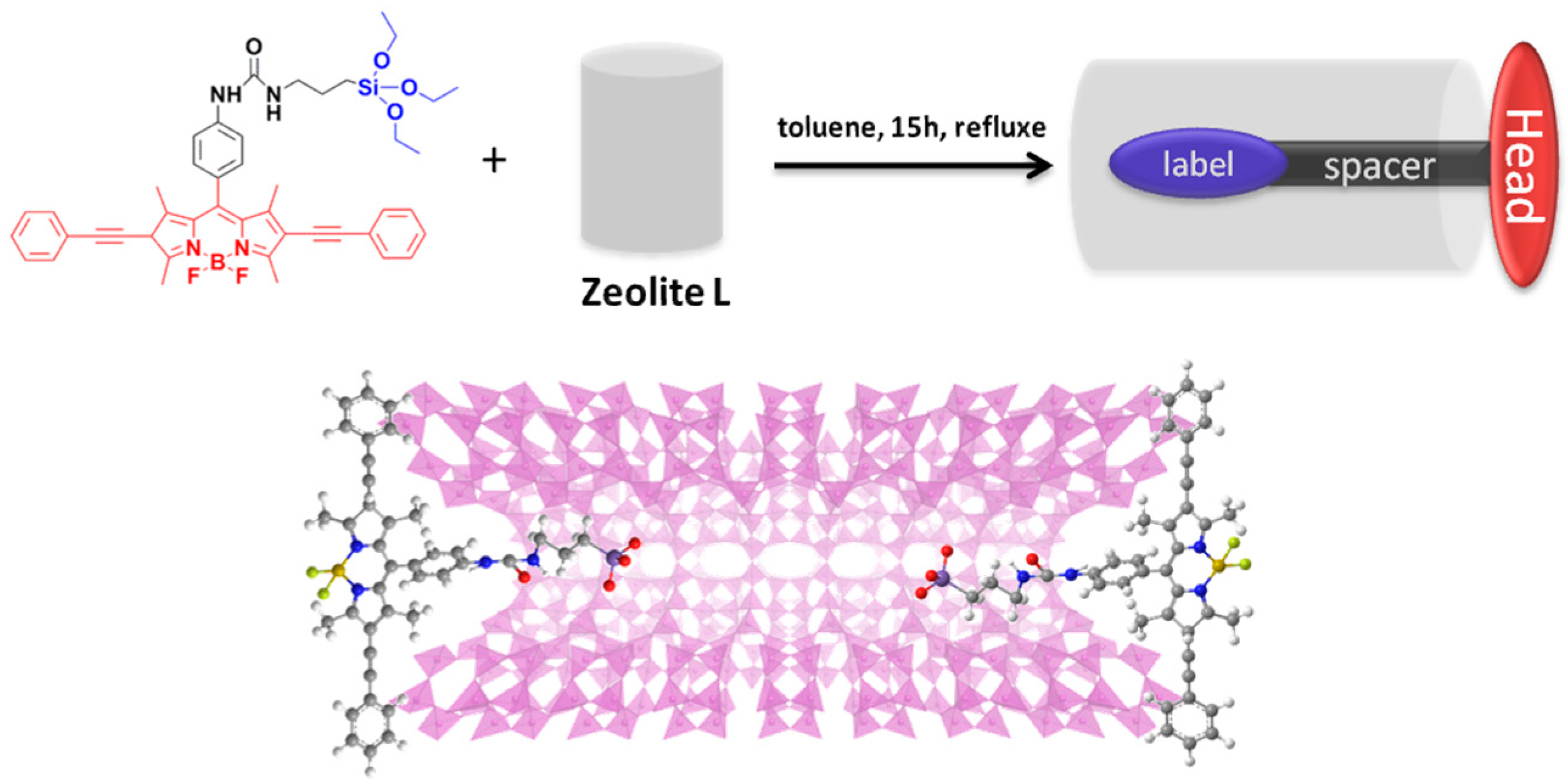 Materials 10 00495 g006 550